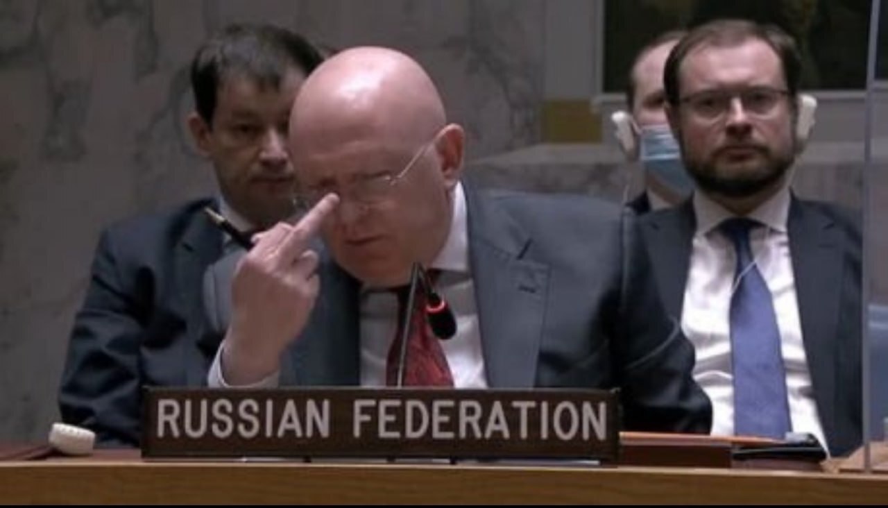 Nebenzya expressed disagreement and adjusted his glasses. - Politics, UN, Vassily Nebenzia, Middle finger, Repeat