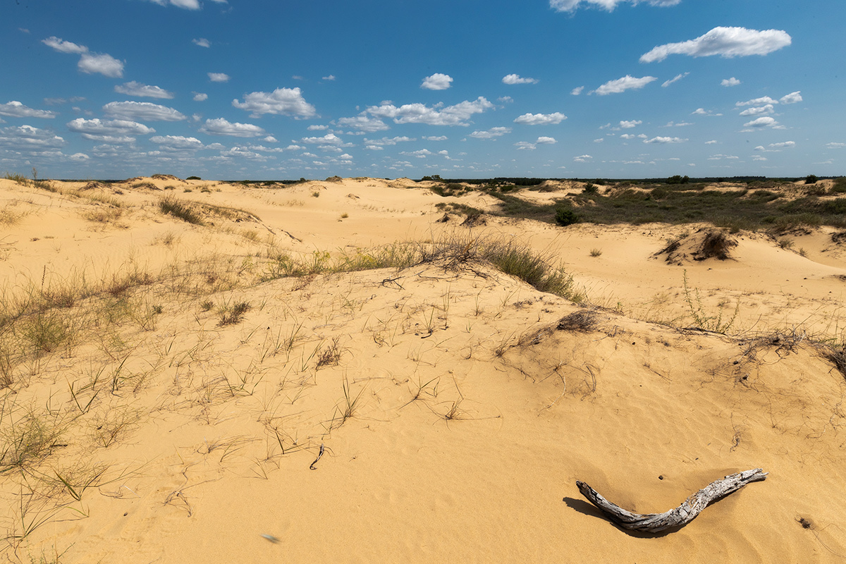 Don Desert - My, Desert, Rostov region, Landscape, The photo