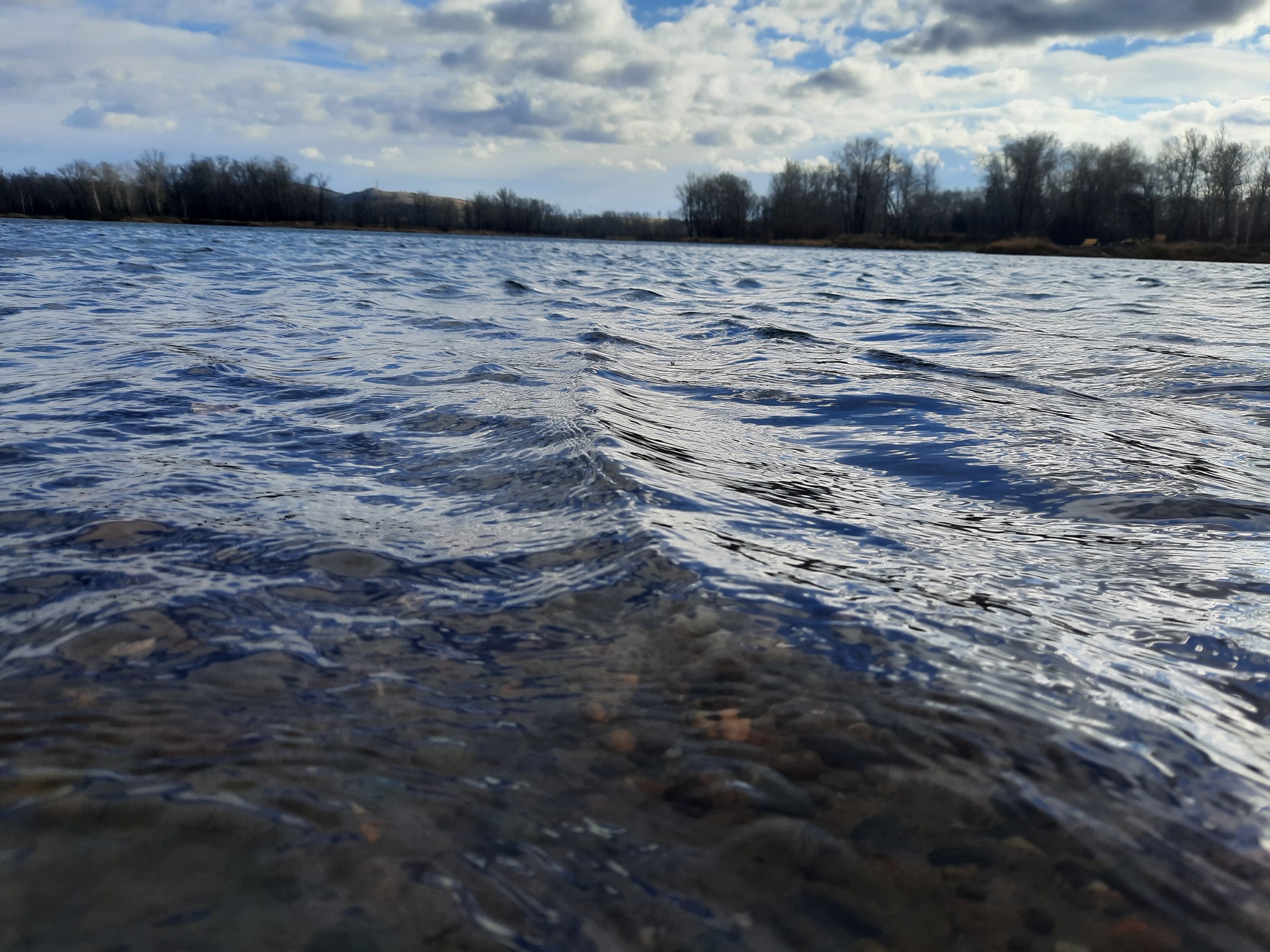 Reply to the post Hello November - My, Autumn, Autumn leaves, The photo, Longpost, Abakan, River, Beautiful view, Reply to post, Landscape