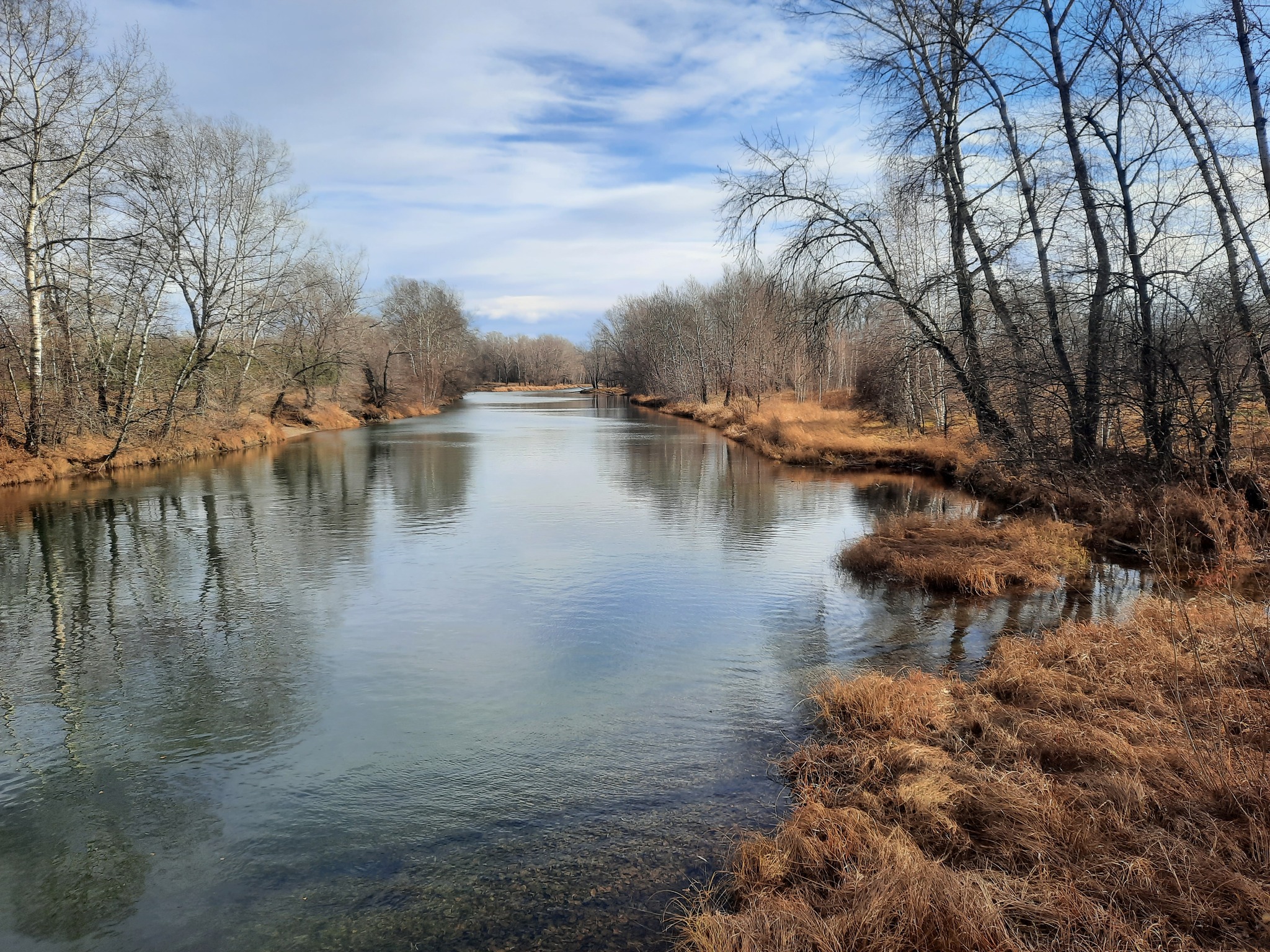 Reply to the post Hello November - My, Autumn, Autumn leaves, The photo, Longpost, Abakan, River, Beautiful view, Reply to post, Landscape