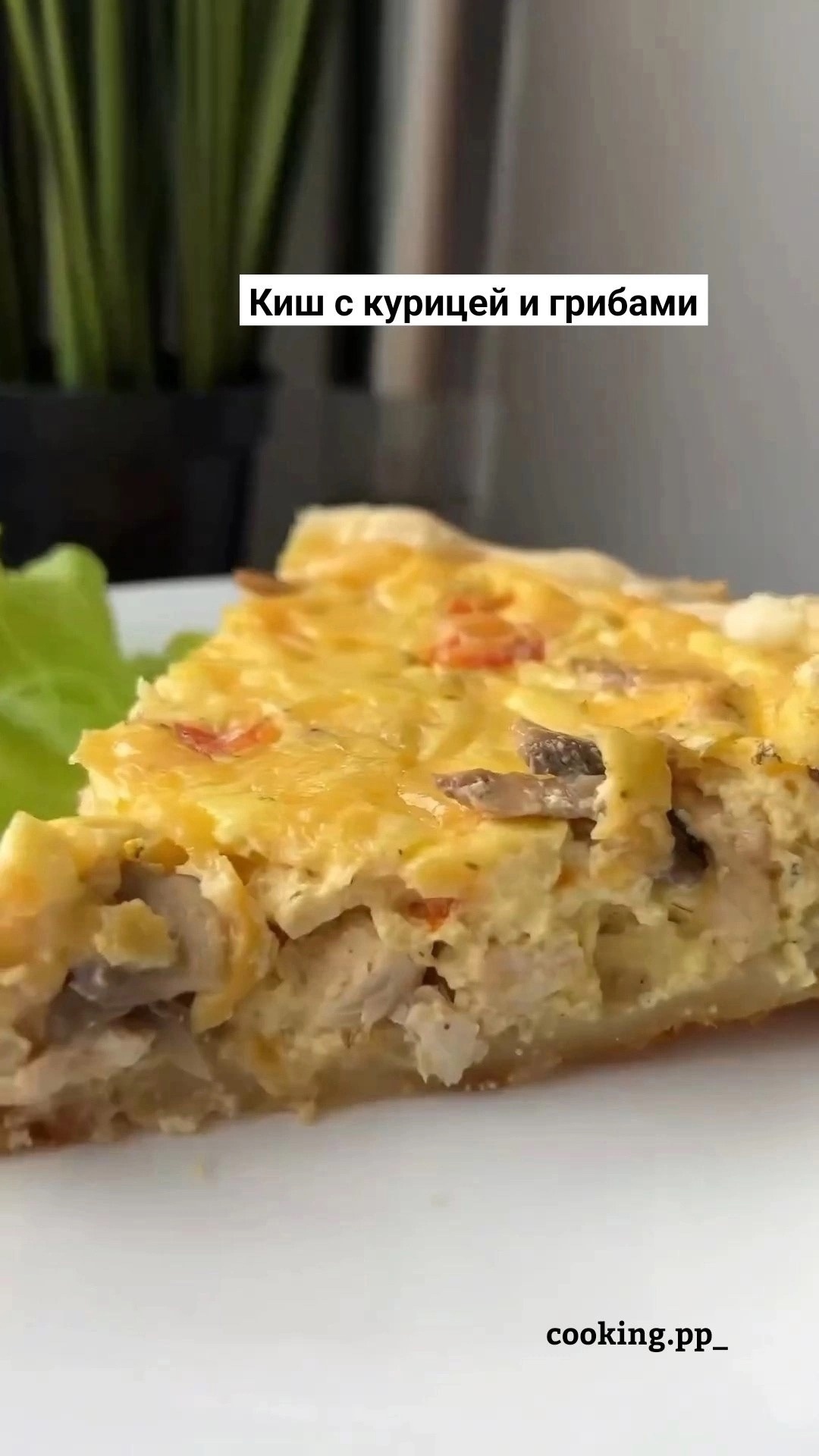 Chicken and Mushroom Quiche - Cooking, Recipe, Ingredients, Serving dishes, Pie, Bakery products, Snack, Longpost, Food