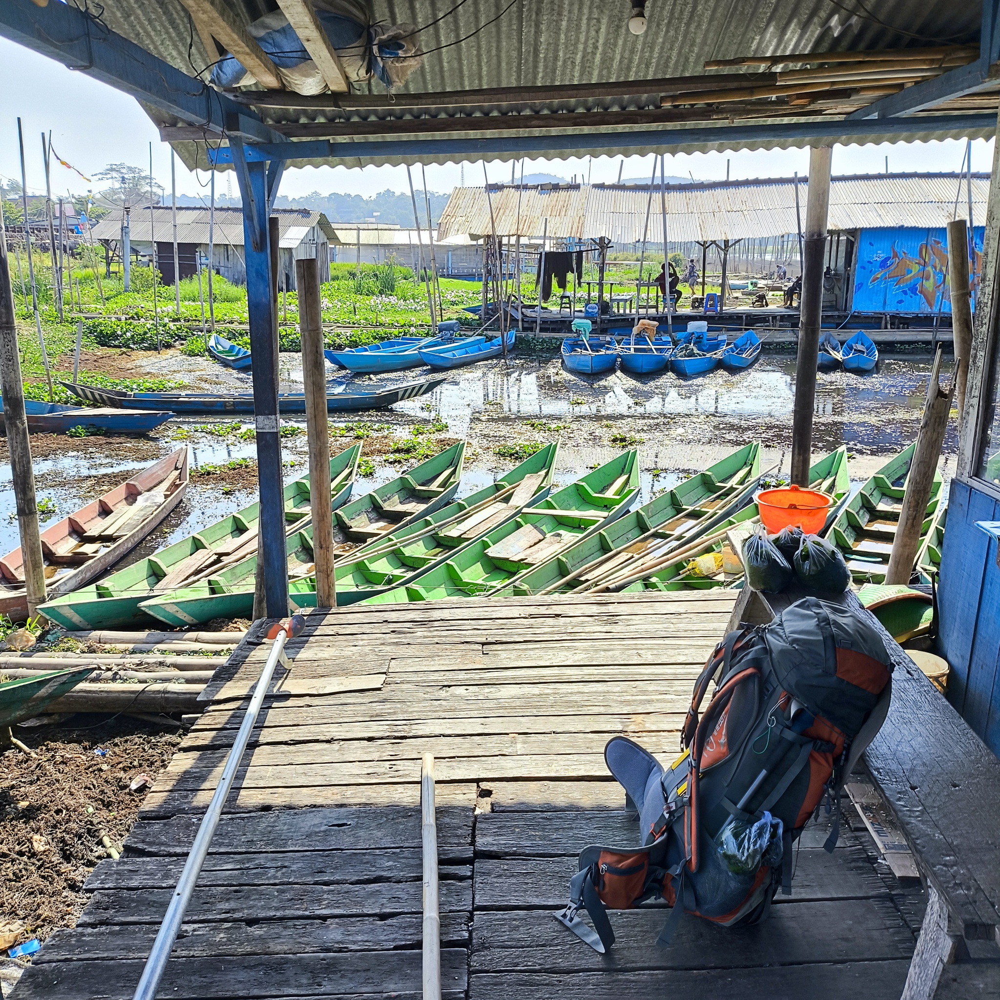 Melanesia Travel Diary. Indonesia. Day 132. Fishing in the Swamp - My, Travels, Around the world, Informative, Fishing, Life stories, Lake, Swamp, Indonesia, cat, Video, Longpost