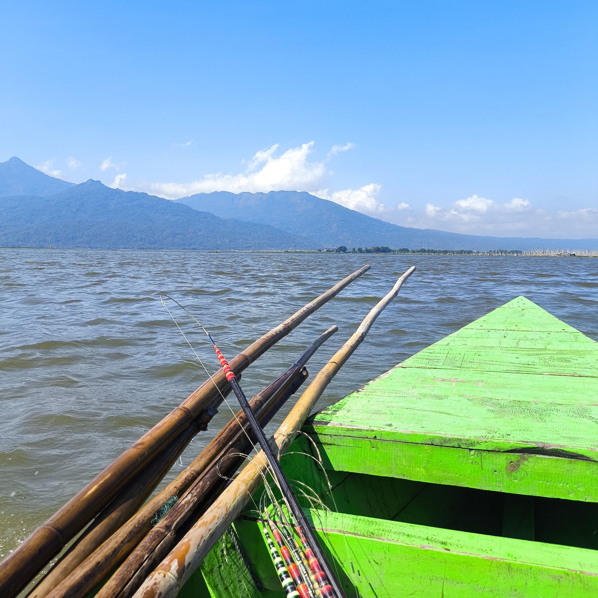 Melanesia Travel Diary. Indonesia. Day 132. Fishing in the Swamp - My, Travels, Around the world, Informative, Fishing, Life stories, Lake, Swamp, Indonesia, cat, Video, Longpost