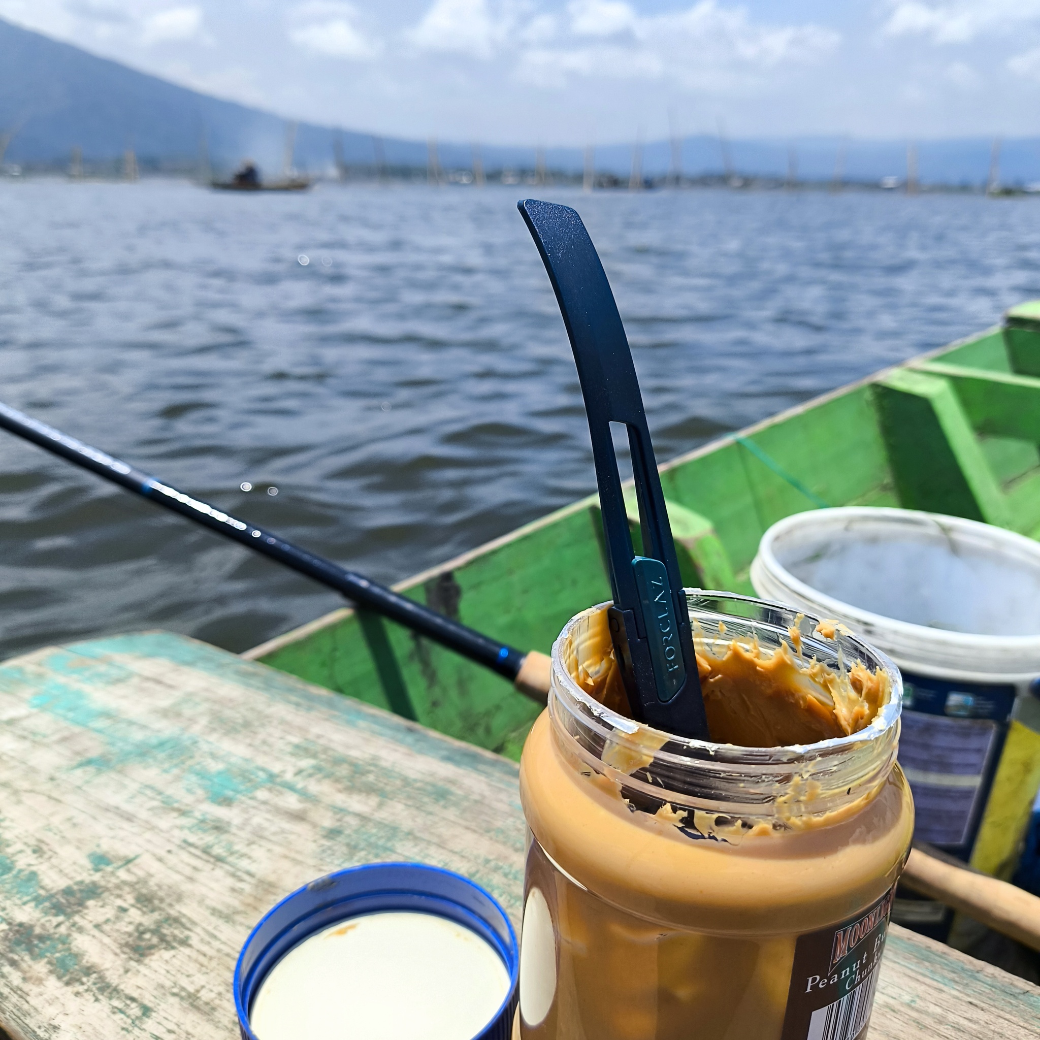 Melanesia Travel Diary. Indonesia. Day 132. Fishing in the Swamp - My, Travels, Around the world, Informative, Fishing, Life stories, Lake, Swamp, Indonesia, cat, Video, Longpost