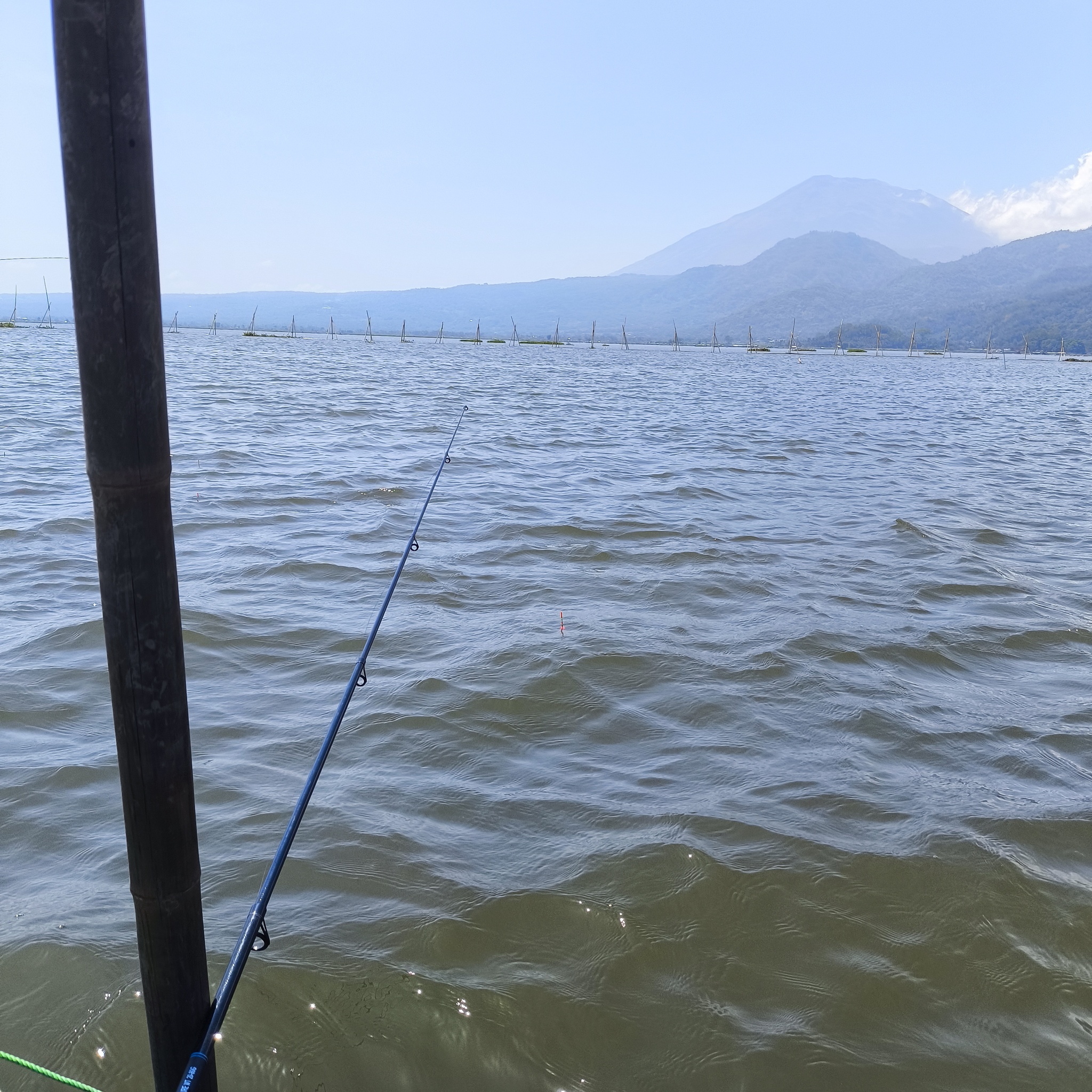 Melanesia Travel Diary. Indonesia. Day 132. Fishing in the Swamp - My, Travels, Around the world, Informative, Fishing, Life stories, Lake, Swamp, Indonesia, cat, Video, Longpost