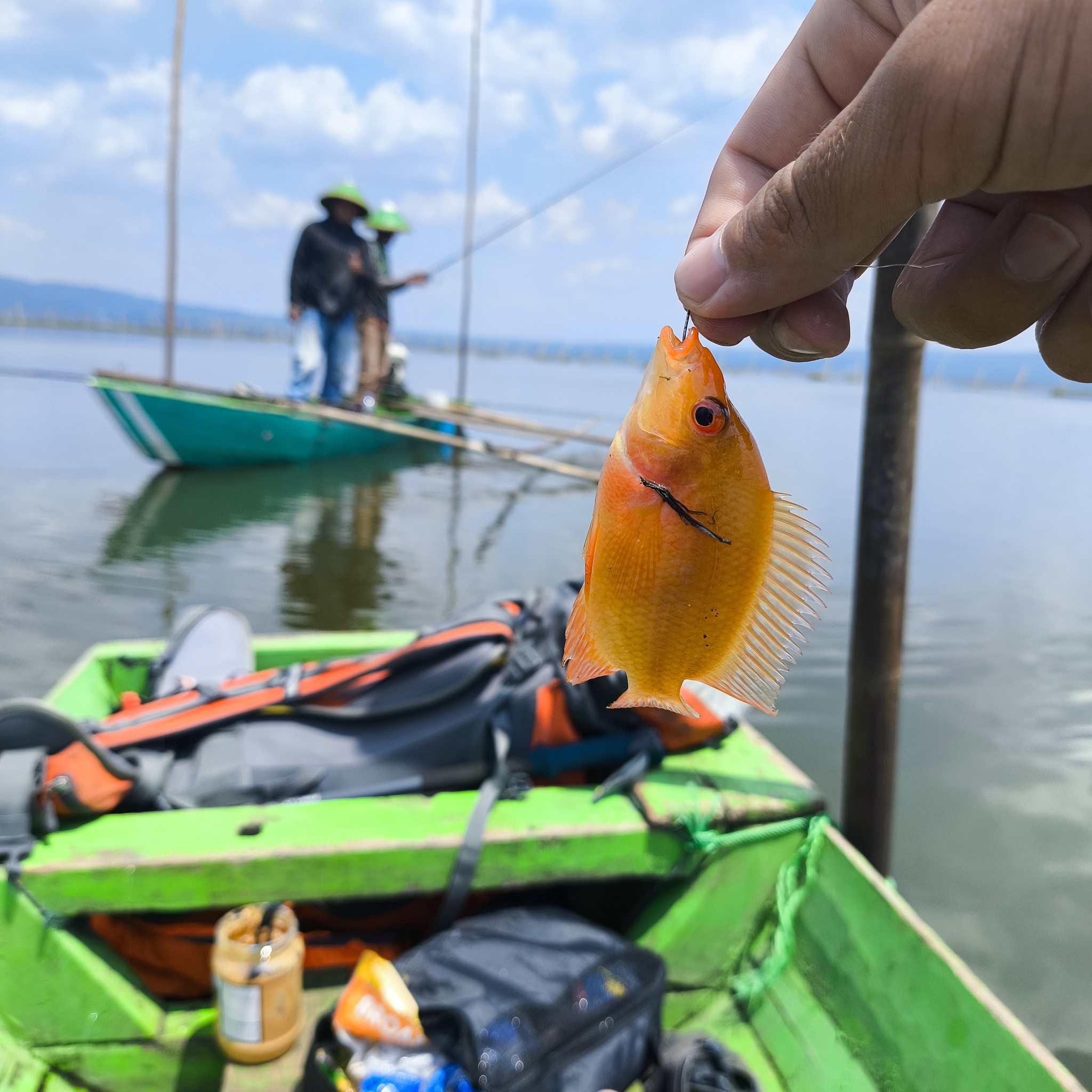 Melanesia Travel Diary. Indonesia. Day 132. Fishing in the Swamp - My, Travels, Around the world, Informative, Fishing, Life stories, Lake, Swamp, Indonesia, cat, Video, Longpost