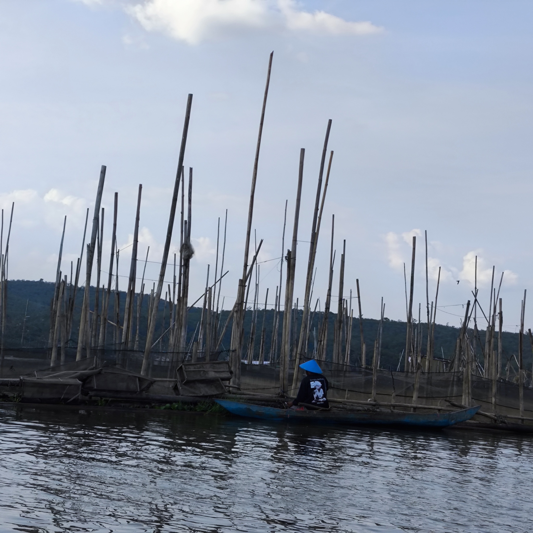 Melanesia Travel Diary. Indonesia. Day 132. Fishing in the Swamp - My, Travels, Around the world, Informative, Fishing, Life stories, Lake, Swamp, Indonesia, cat, Video, Longpost