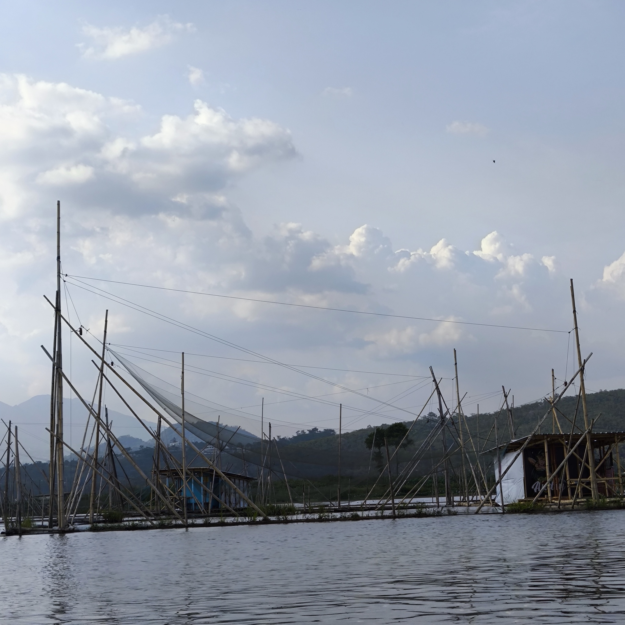 Melanesia Travel Diary. Indonesia. Day 132. Fishing in the Swamp - My, Travels, Around the world, Informative, Fishing, Life stories, Lake, Swamp, Indonesia, cat, Video, Longpost