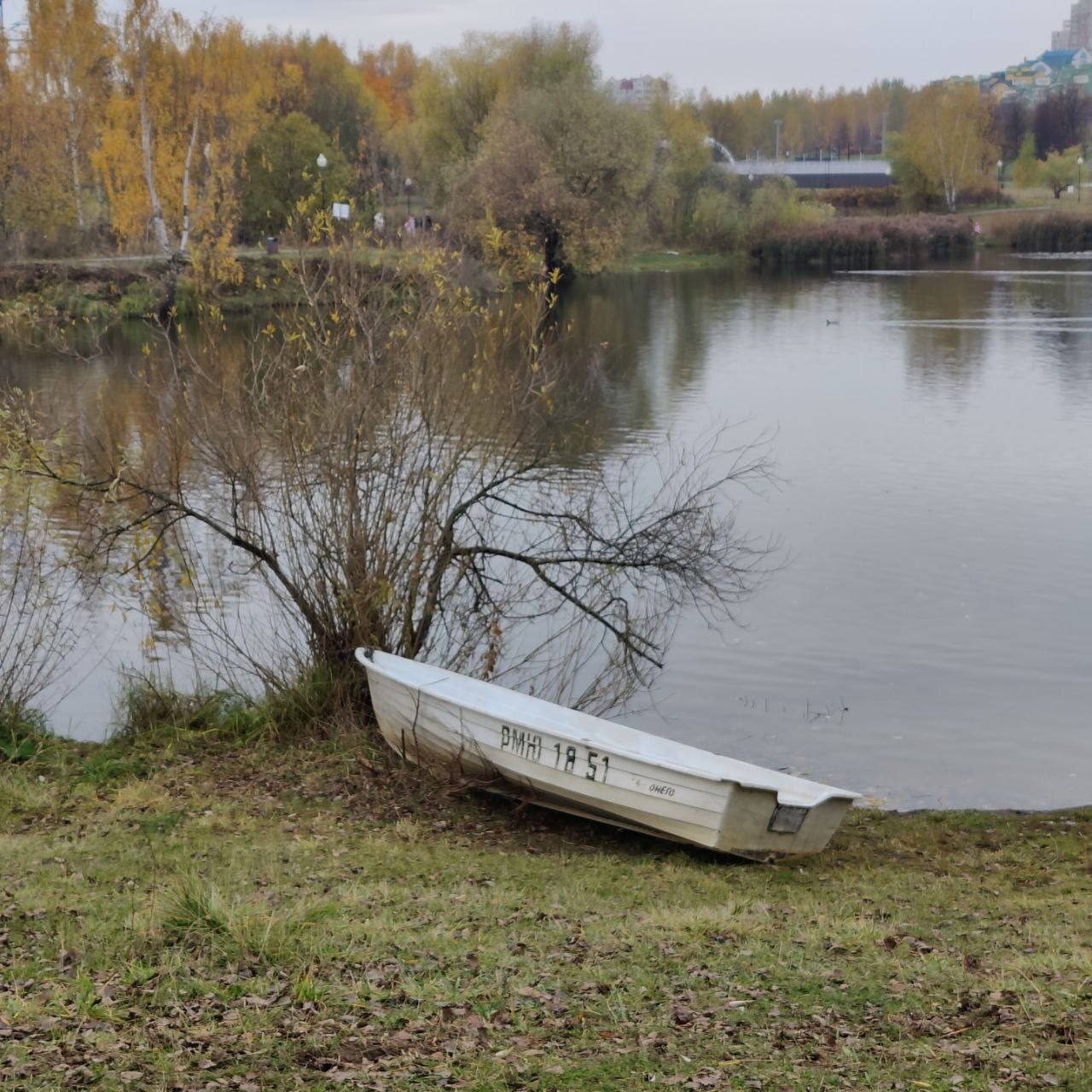 Autumn - The senses, Person, Emotions, Psychology, Psychological help, Autumn, Calmness, Target, Plan, Idea, Change, Liberty, A life, Leaves, Paints, beauty, Atmosphere, Walk, Freshness, People, Longpost