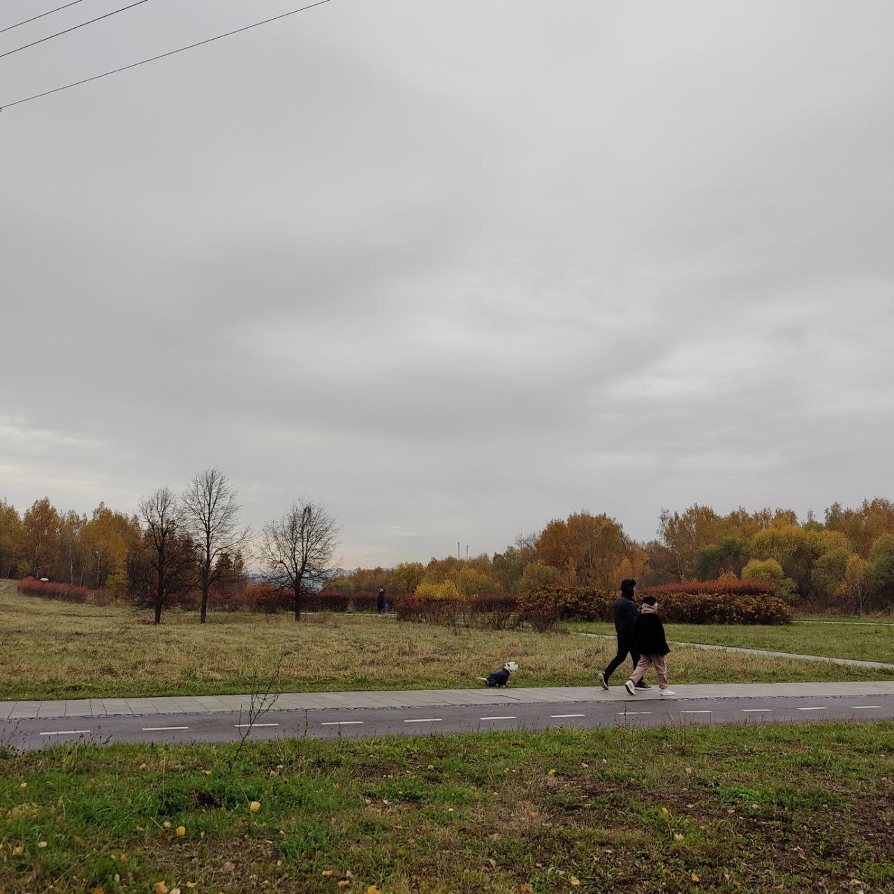 Autumn - The senses, Person, Emotions, Psychology, Psychological help, Autumn, Calmness, Target, Plan, Idea, Change, Liberty, A life, Leaves, Paints, beauty, Atmosphere, Walk, Freshness, People, Longpost