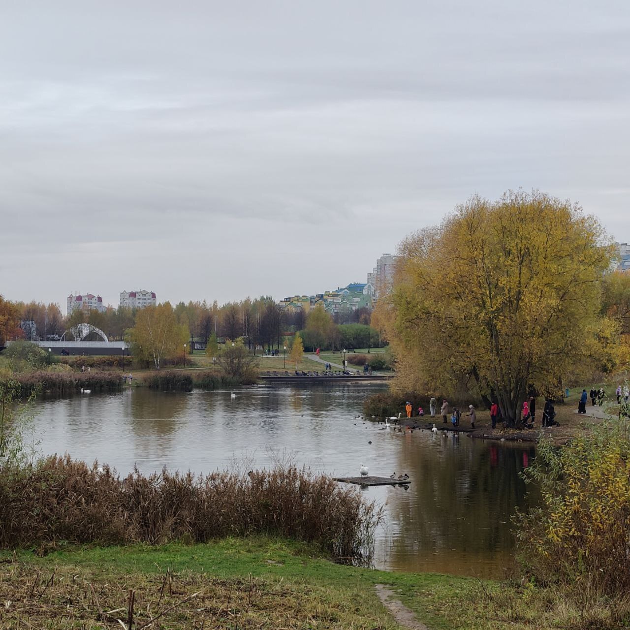 Autumn - The senses, Person, Emotions, Psychology, Psychological help, Autumn, Calmness, Target, Plan, Idea, Change, Liberty, A life, Leaves, Paints, beauty, Atmosphere, Walk, Freshness, People, Longpost