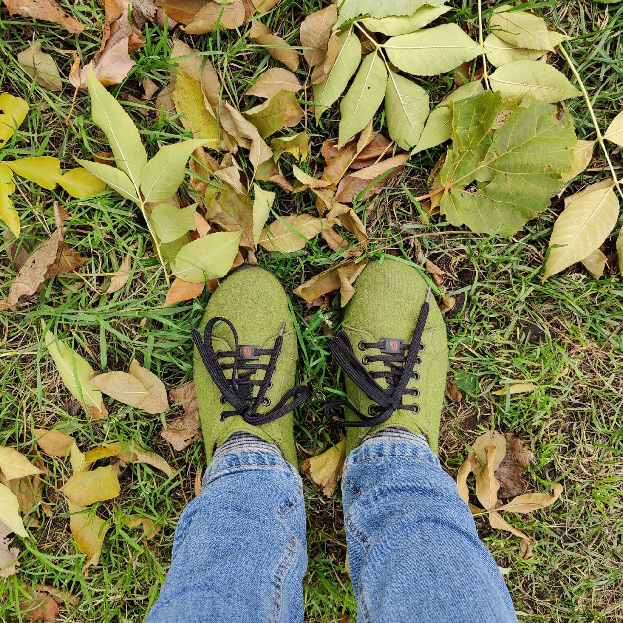 Autumn - The senses, Person, Emotions, Psychology, Psychological help, Autumn, Calmness, Target, Plan, Idea, Change, Liberty, A life, Leaves, Paints, beauty, Atmosphere, Walk, Freshness, People, Longpost