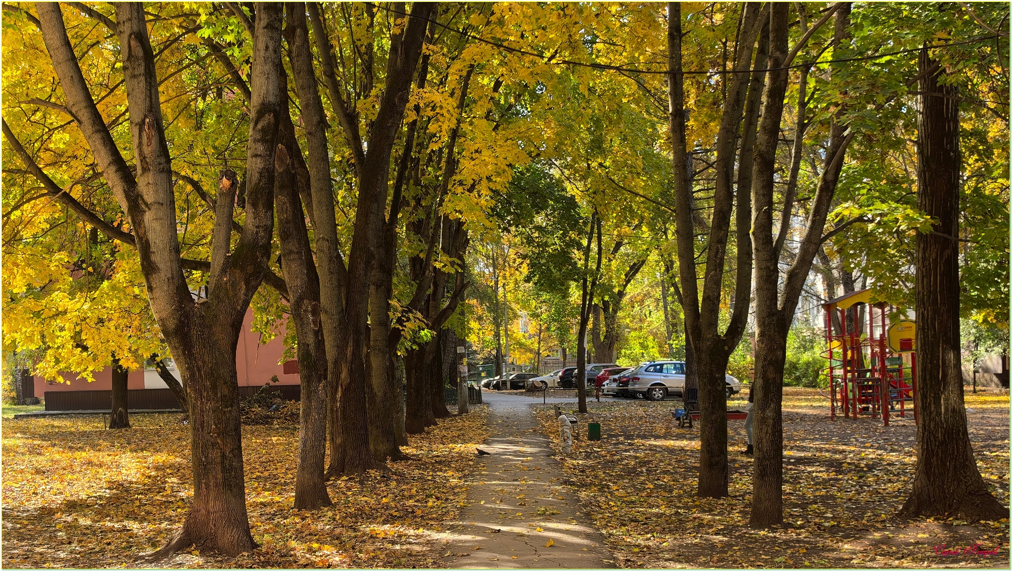 Quiet courtyard - My, The photo, Nature, Landscape, Autumn, Courtyard