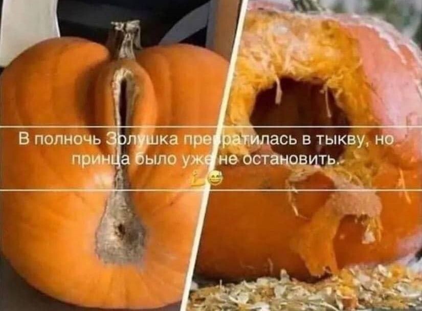 Pumpkin - Images, Humor, Pumpkin, Picture with text