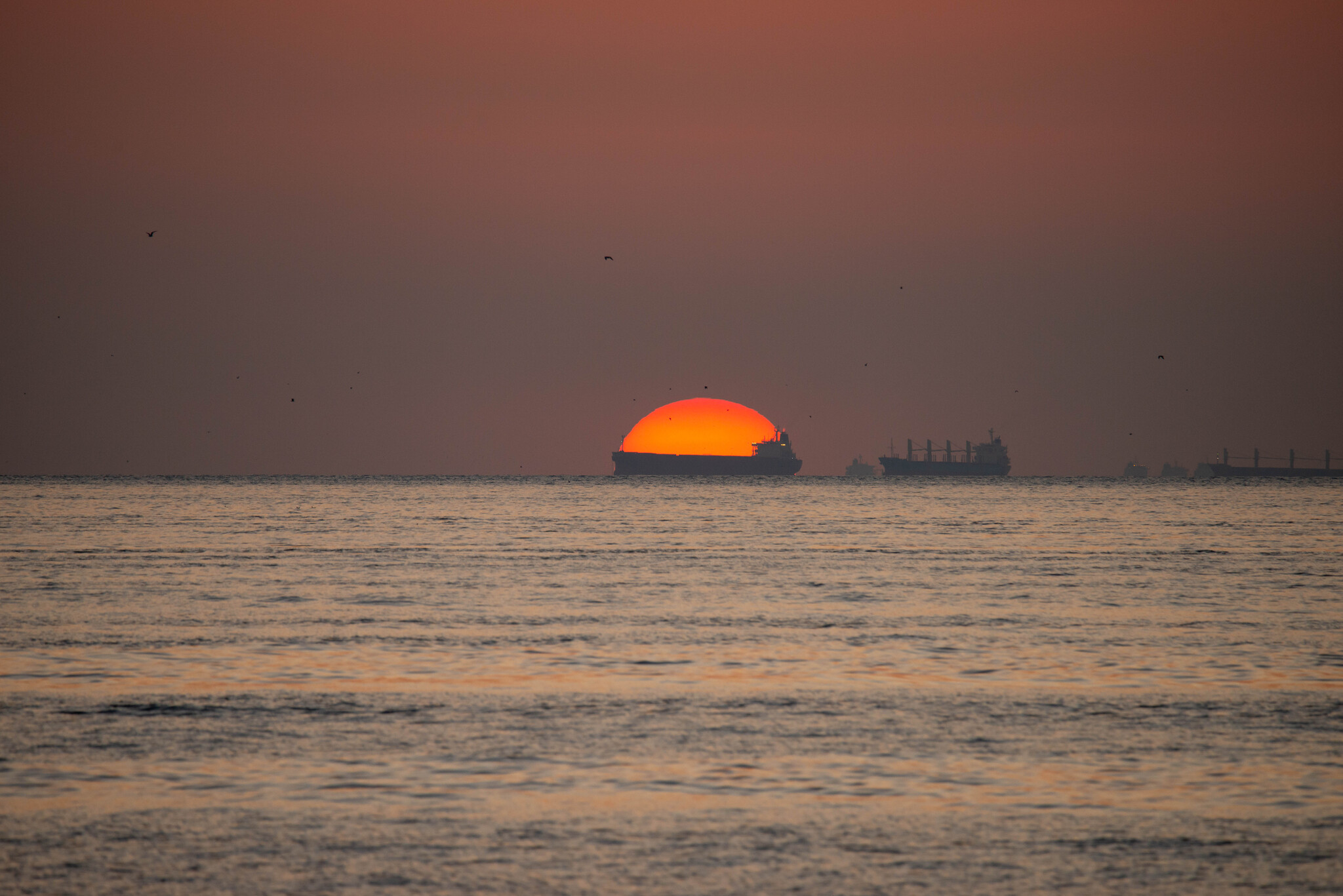 Where are they taking you? - My, Sea, The sun, Bulk carrier, Ship, Sunset, Solar eclipse, The photo, Successful angle