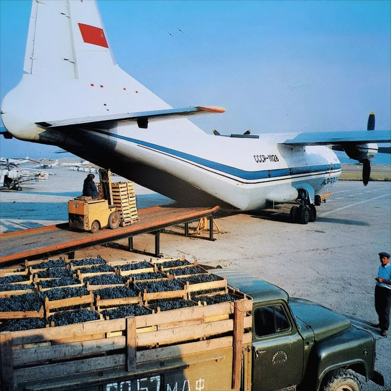 Grapes are one of Moldova's largest export commodities. Moldavian SSR, 1980s - Grape, Moldova, Moldavian, Made in USSR, Childhood in the USSR, the USSR, Retro, Airplane, 80-е, Film, Retro car, Telegram (link)