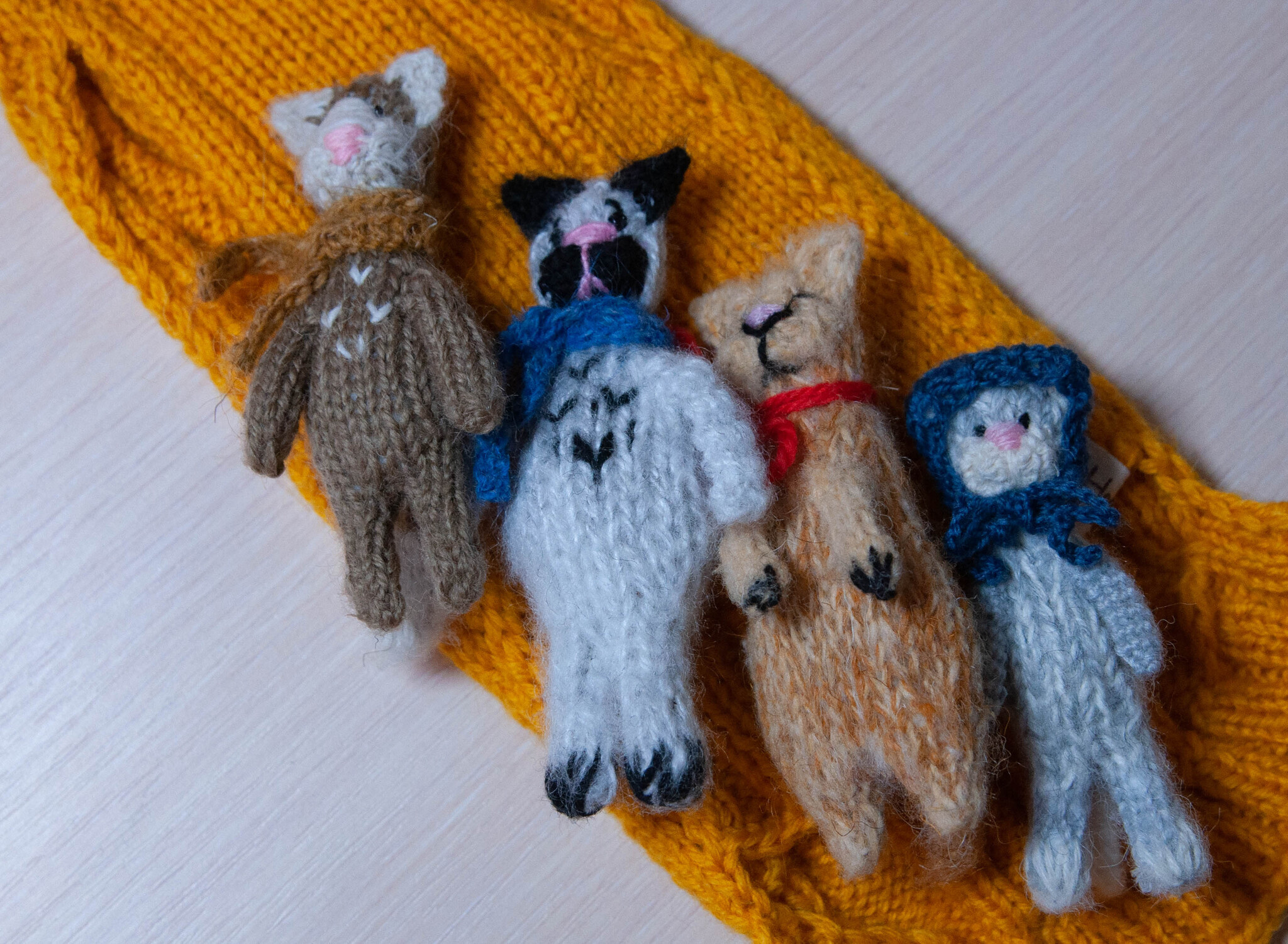 Kittens are silly, soft paws and tummies - My, Knitting, cat, Pocket animals, Cat lovers, Fat cats, Pet the cat, Amigurumi, Author's toy, Keychain, Knitting, Crazy Cat Girl, Decor, Longpost