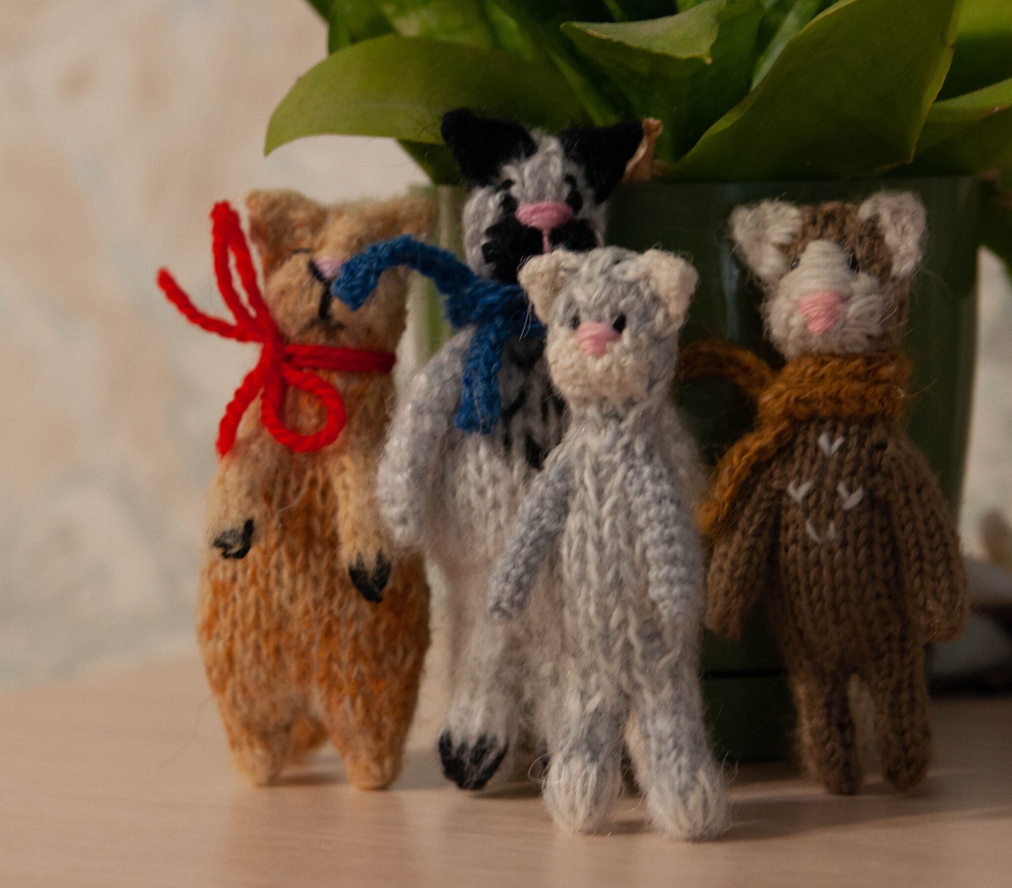 Kittens are silly, soft paws and tummies - My, Knitting, cat, Pocket animals, Cat lovers, Fat cats, Pet the cat, Amigurumi, Author's toy, Keychain, Knitting, Crazy Cat Girl, Decor, Longpost