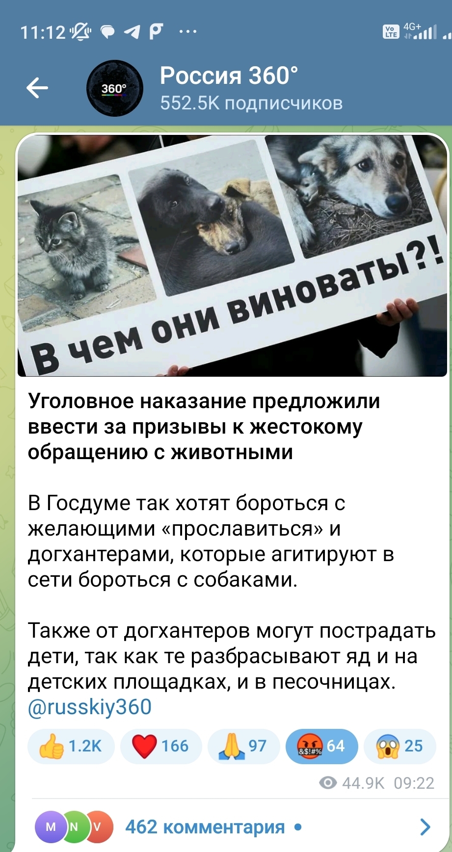 Reply to the post Pack of dogs attacked a child - Osvv, Dog attack, Radical animal protection, Attack, Петиция, Video, Soundless, Vertical video, Telegram (link), Negative, Stray dogs, Reply to post, Longpost