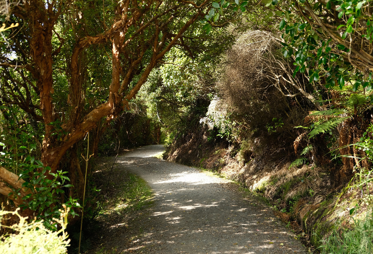 New Zealand. Upside Down on a Long White Cloud. Part 10 - The end of the world, New Zealand, Cook, Mutton, Sheeps, The hobbit, Troll, Oysters, Longpost