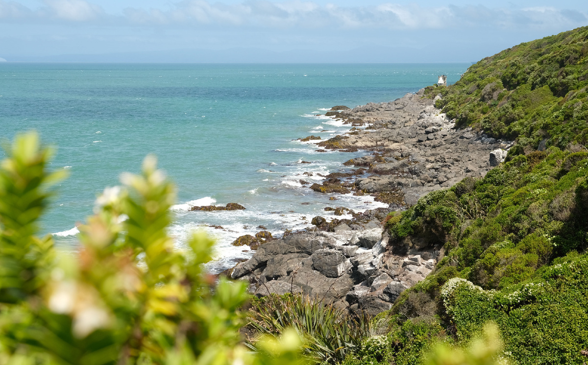 New Zealand. Upside Down on a Long White Cloud. Part 10 - The end of the world, New Zealand, Cook, Mutton, Sheeps, The hobbit, Troll, Oysters, Longpost