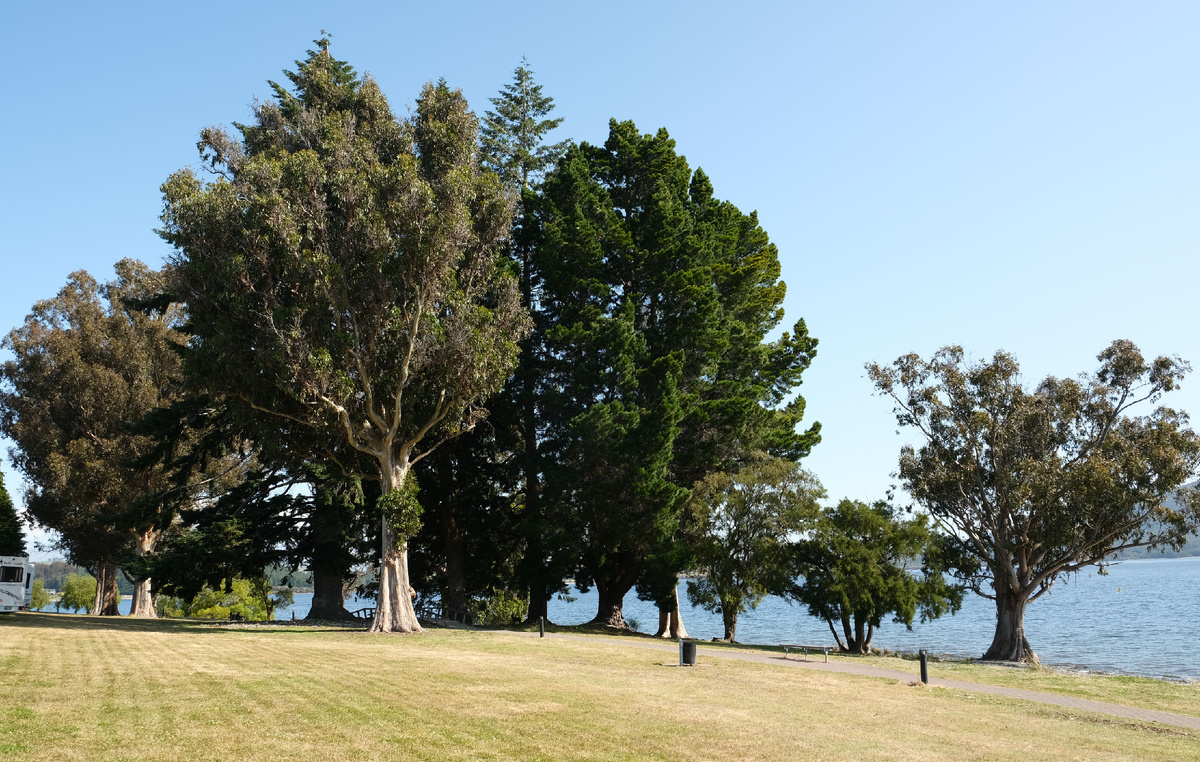 New Zealand. Upside Down on a Long White Cloud. Part 10 - The end of the world, New Zealand, Cook, Mutton, Sheeps, The hobbit, Troll, Oysters, Longpost