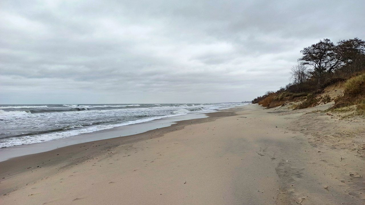 Pine trees, sea, beach - My, Sea, Weekend, Kaliningrad, Relaxation, Kaliningrad region, Baltic Sea, Walk, Beach, Sand, Wave, Pine, Forest, Video, Longpost