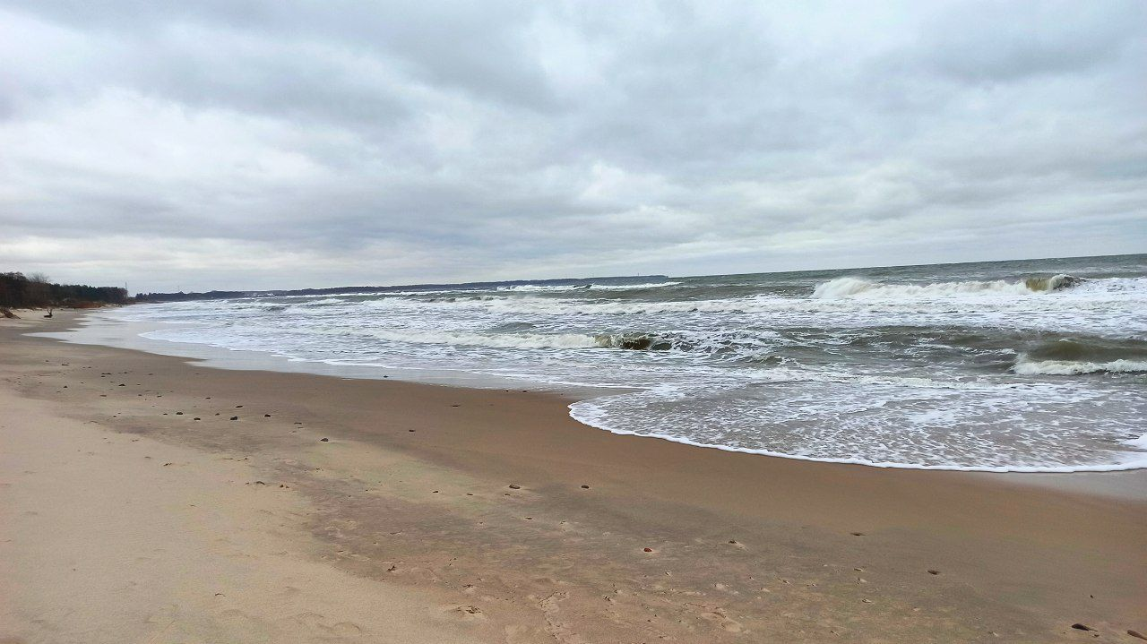 Pine trees, sea, beach - My, Sea, Weekend, Kaliningrad, Relaxation, Kaliningrad region, Baltic Sea, Walk, Beach, Sand, Wave, Pine, Forest, Video, Longpost