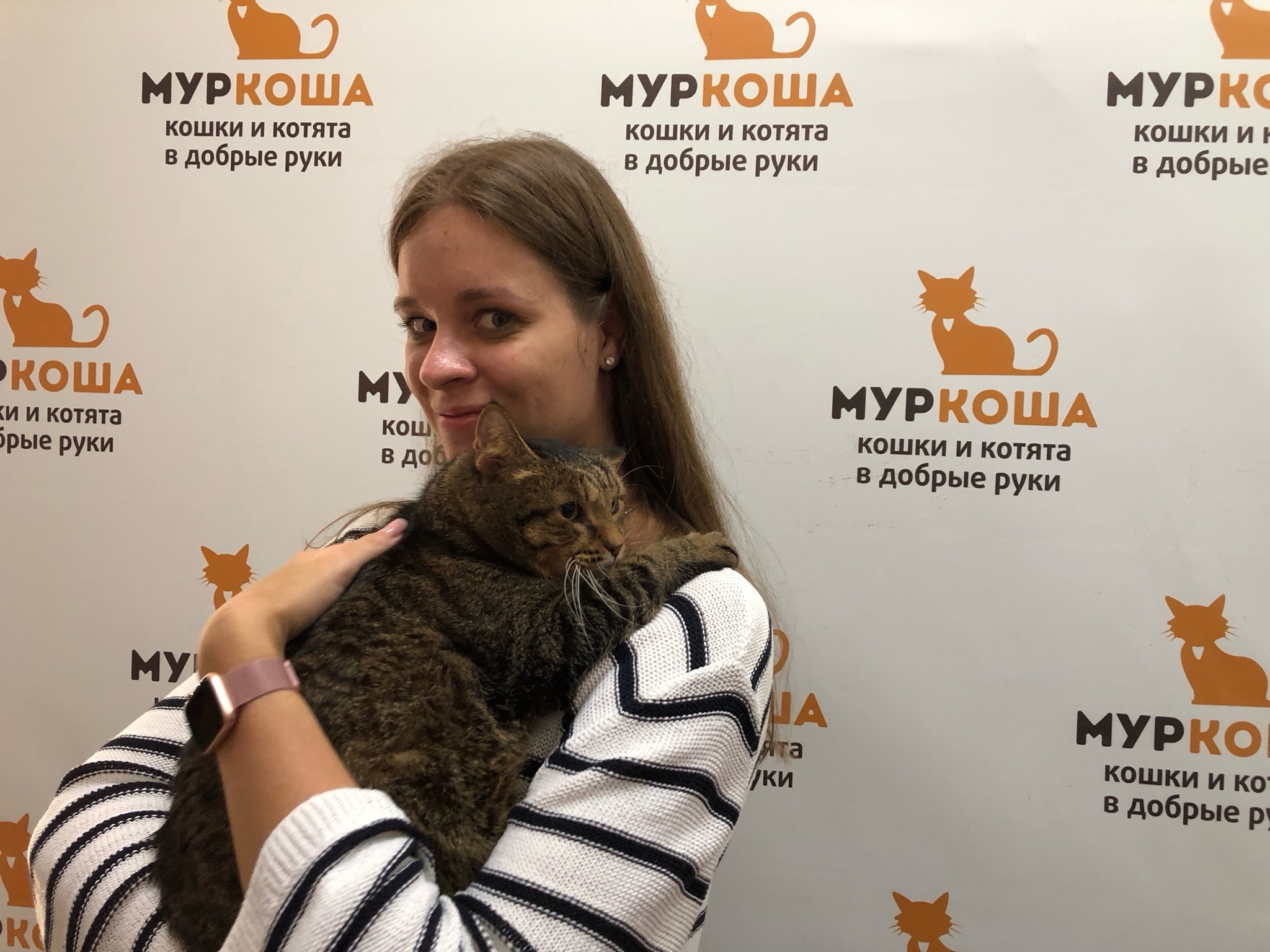 We are glad to share our successes with you. - My, Animal shelter, Murkosh shelter, cat, Positive, Touching, No rating, Found a home, Video VK, Vertical video, Video, Longpost