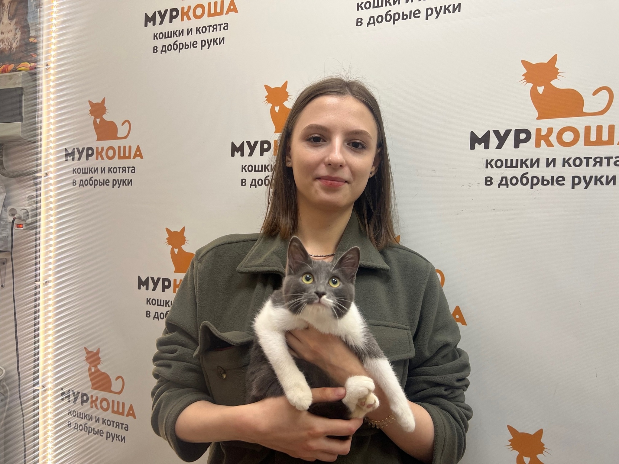 We are glad to share our successes with you. - My, Animal shelter, Murkosh shelter, cat, Positive, Touching, No rating, Found a home, Video VK, Vertical video, Video, Longpost