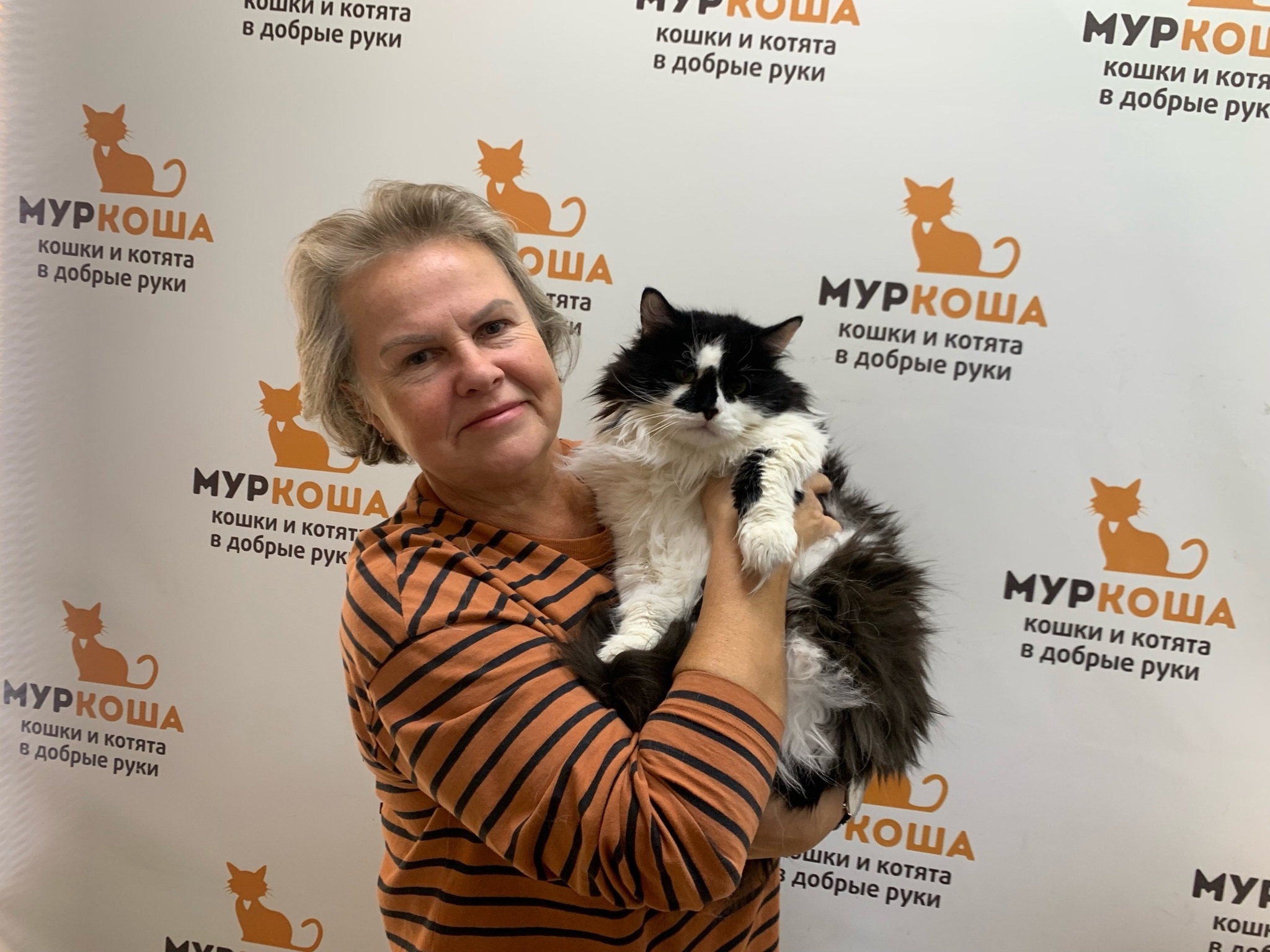 We are glad to share our successes with you. - My, Animal shelter, Murkosh shelter, cat, Positive, Touching, No rating, Found a home, Video VK, Vertical video, Video, Longpost