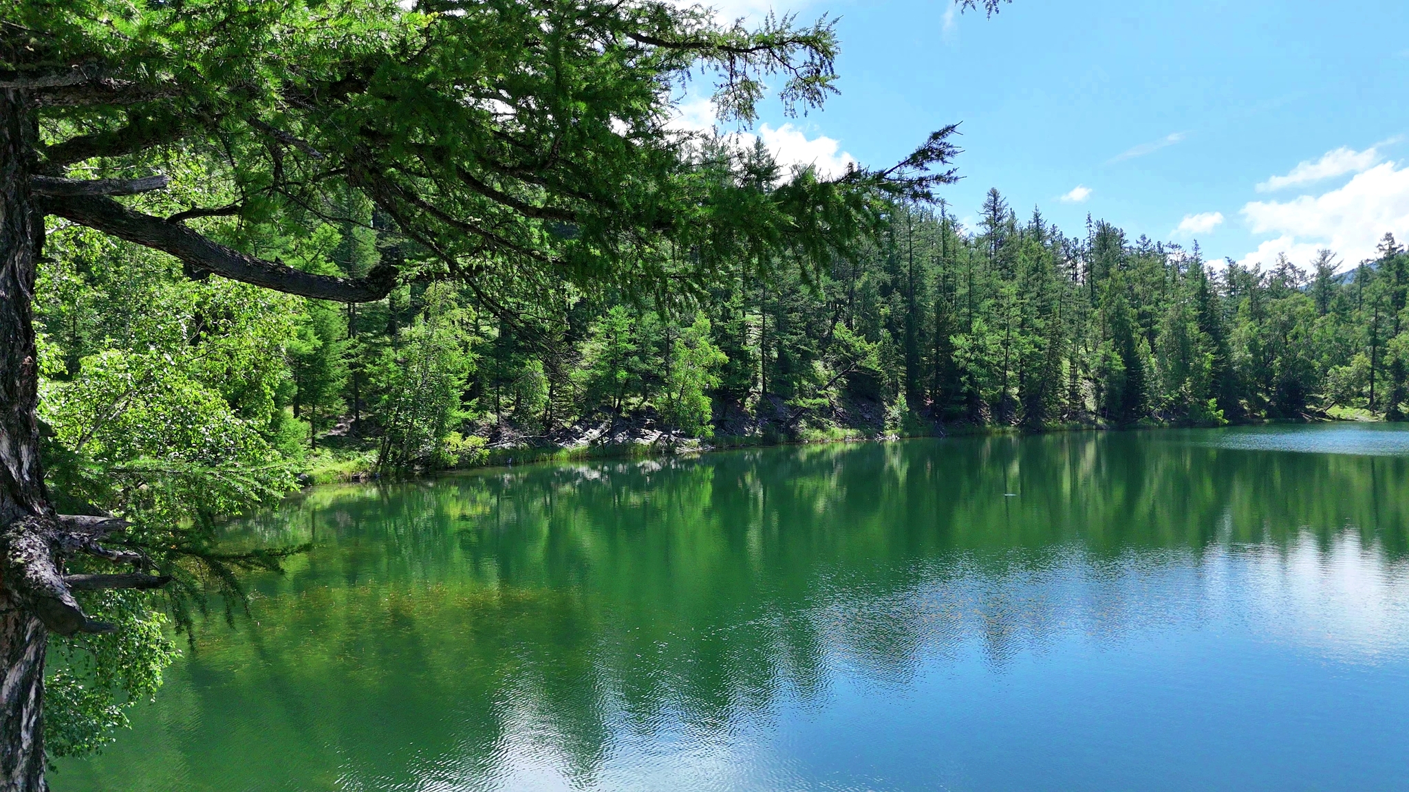 Lake Aru-Kem - My, Altai Republic, The mountains, Quadcopter, Flight, The rocks, Beautiful view, Freshness, Travels, Travel across Russia, Mountain tourism, Lake, Summer, Dji