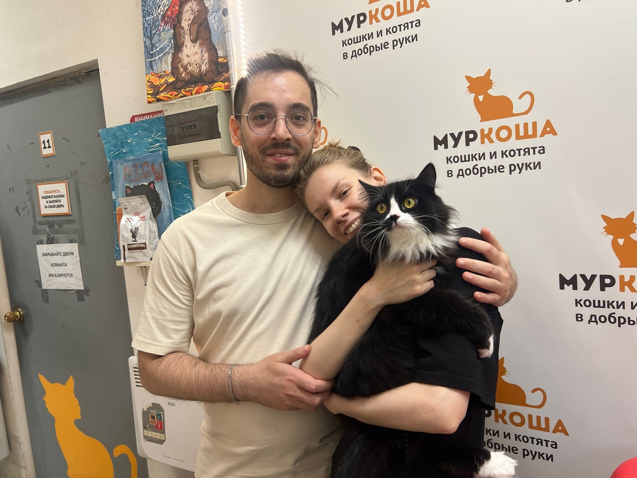 We are glad to share our successes with you. - My, Animal shelter, Murkosh shelter, cat, Positive, Touching, No rating, Found a home, Video VK, Vertical video, Video, Longpost