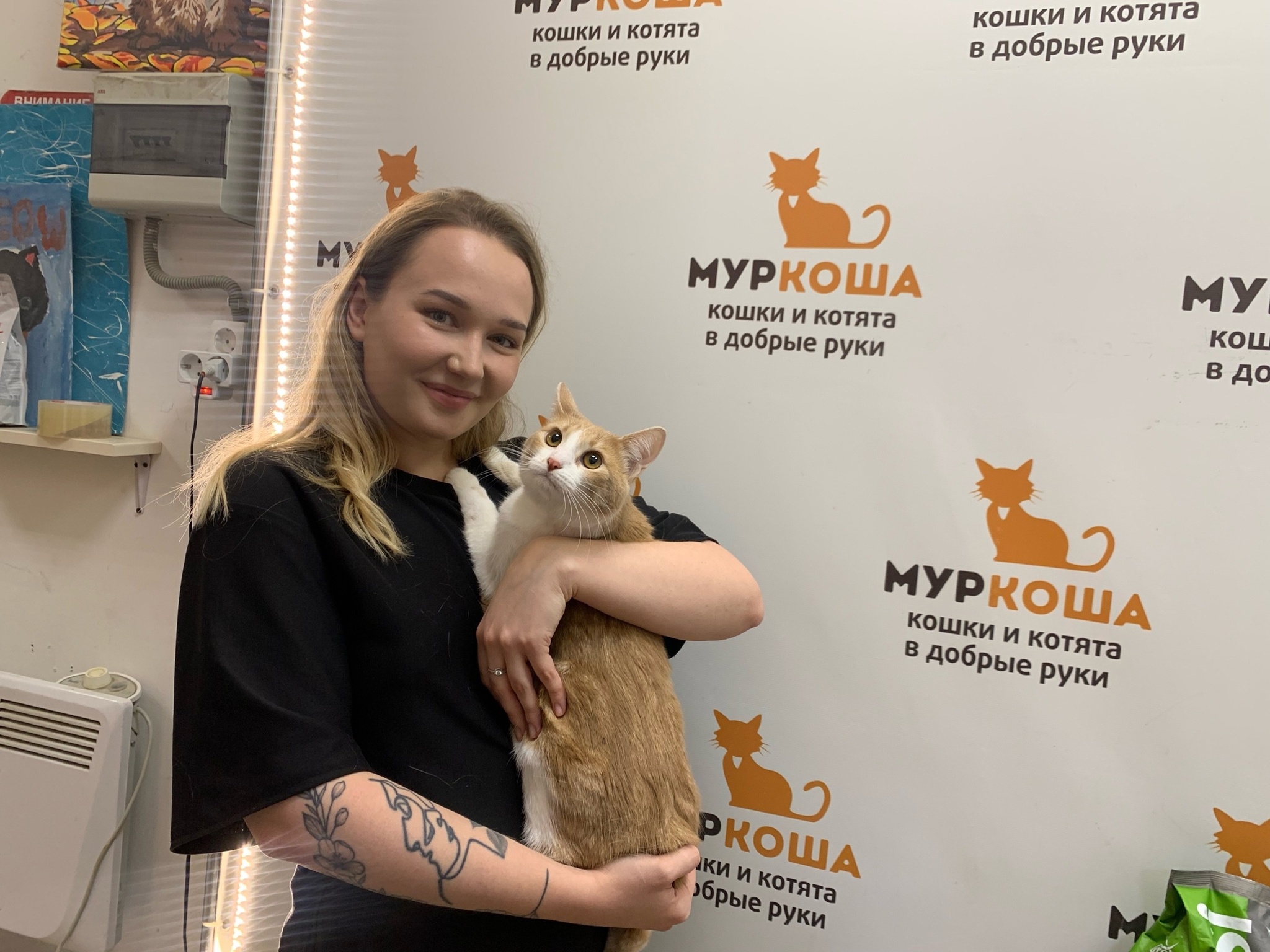 We are glad to share our successes with you. - My, Animal shelter, Murkosh shelter, cat, Positive, Touching, No rating, Found a home, Video VK, Vertical video, Video, Longpost