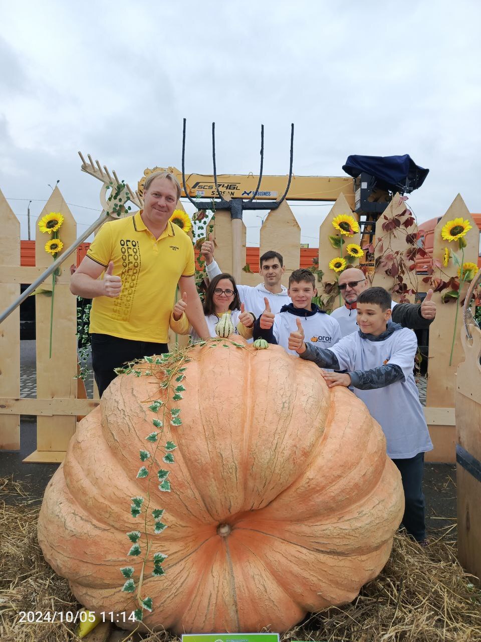 Another adventure of the season: Ivanovo cabbage soup! - My, Zucchini, Garden, Vegetables, Giants, Giant pumpkin, Gigantomania, Cucumbers, Beet, Watermelon, Longpost