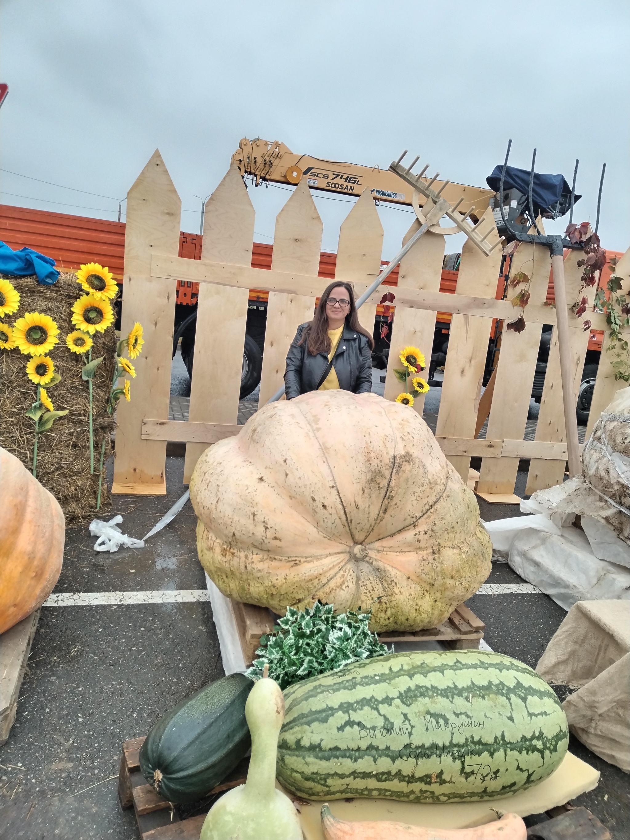 Another adventure of the season: Ivanovo cabbage soup! - My, Zucchini, Garden, Vegetables, Giants, Giant pumpkin, Gigantomania, Cucumbers, Beet, Watermelon, Longpost