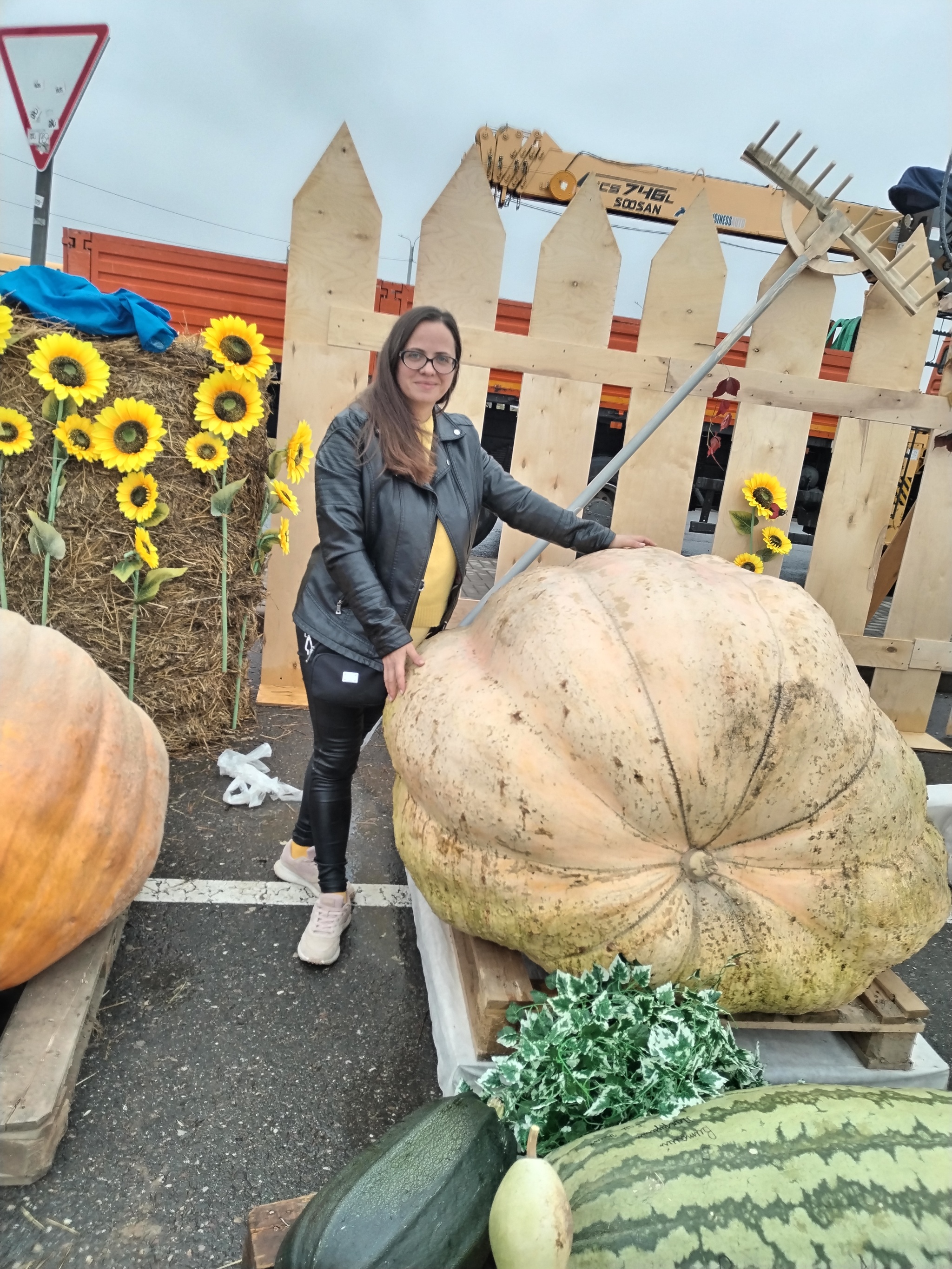 Another adventure of the season: Ivanovo cabbage soup! - My, Zucchini, Garden, Vegetables, Giants, Giant pumpkin, Gigantomania, Cucumbers, Beet, Watermelon, Longpost