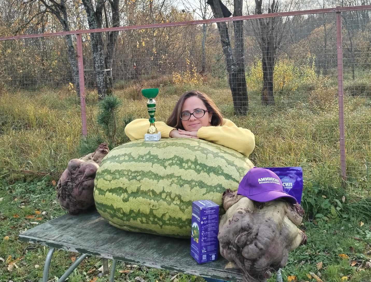 The adventures of a giant watermelon... and its insides... - My, Garden, Vegetables, Gardening, Watermelon, Giants, Gigantomania, Garden, Harvest, Longpost