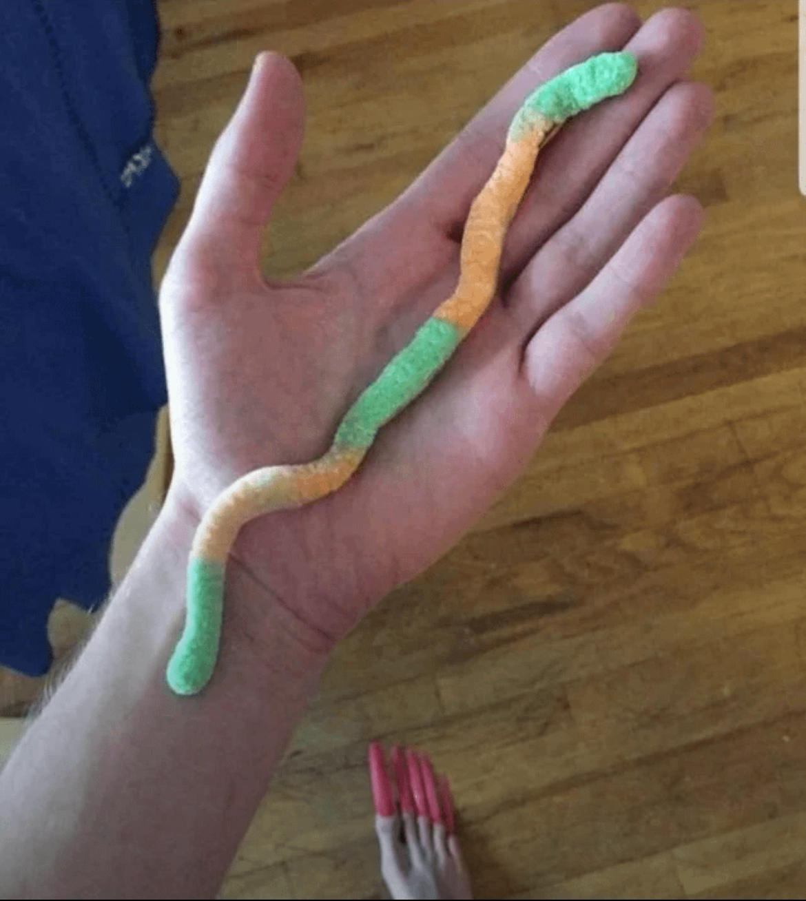 Gummy Snake - Humor, Background, Nails, Marmalade worms