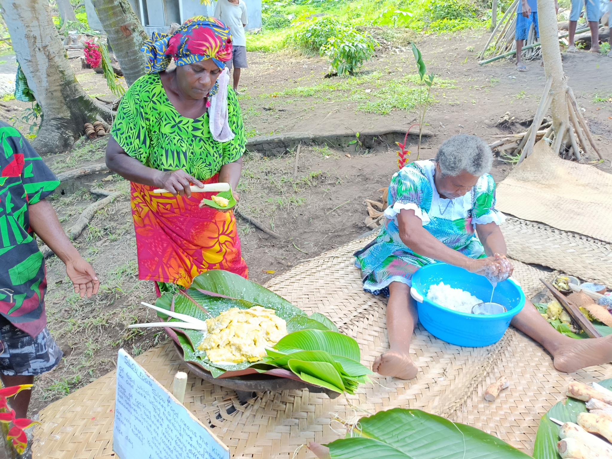 Vanuatu Tourism - My, Travels, Camping, Vanuatu, Longpost, The photo