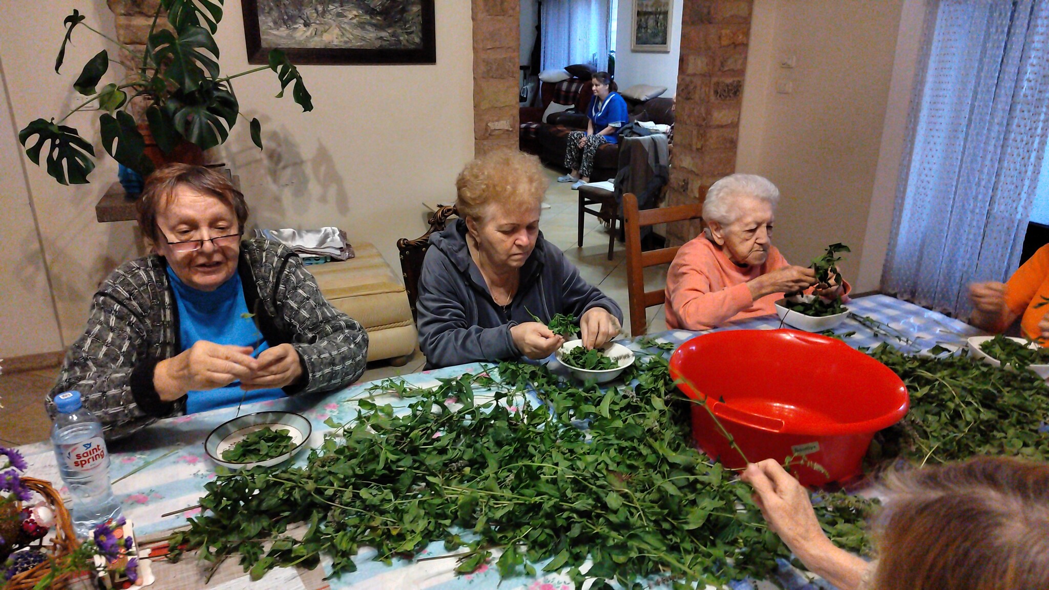 Continuation of the story of one family living with old age, illnesses and problem solving - Dementia, Old age, Care, Grandfather, Moscow, Old men, Grandmother, Grandmothers and grandfathers, Надежда, Odintsovo, Care, Care and maintenance, Kindness, Parkinson's disease, Fracture, A good place, Nurse, Schizophrenia, The cognitive dissonance, Text, Longpost