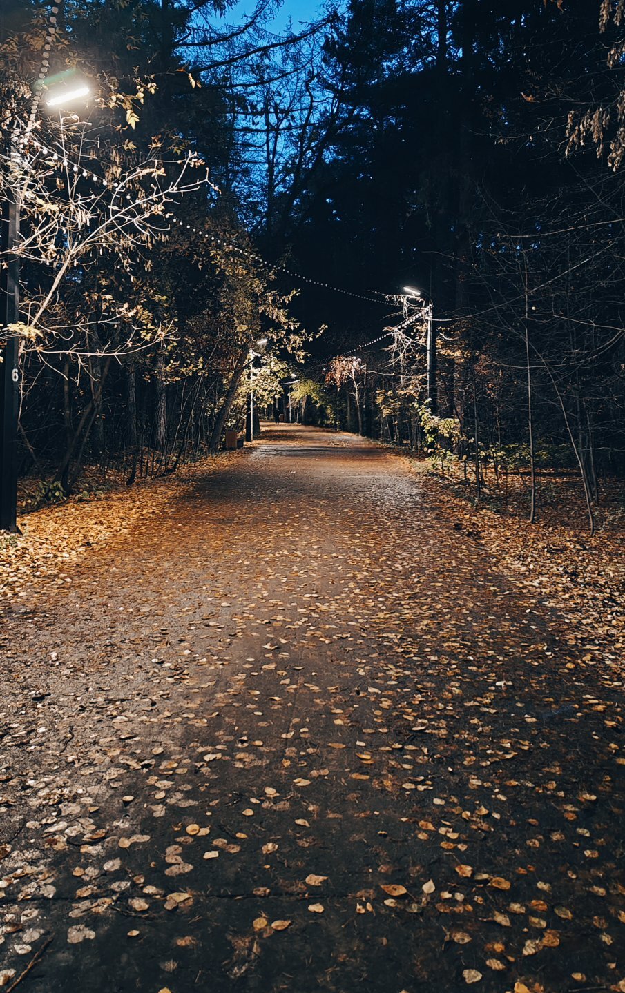 Маленькие моменты Челябинска - Моё, Мобильная фотография, Челябинск, Природа, Прогулка по городу, Кот, Длиннопост