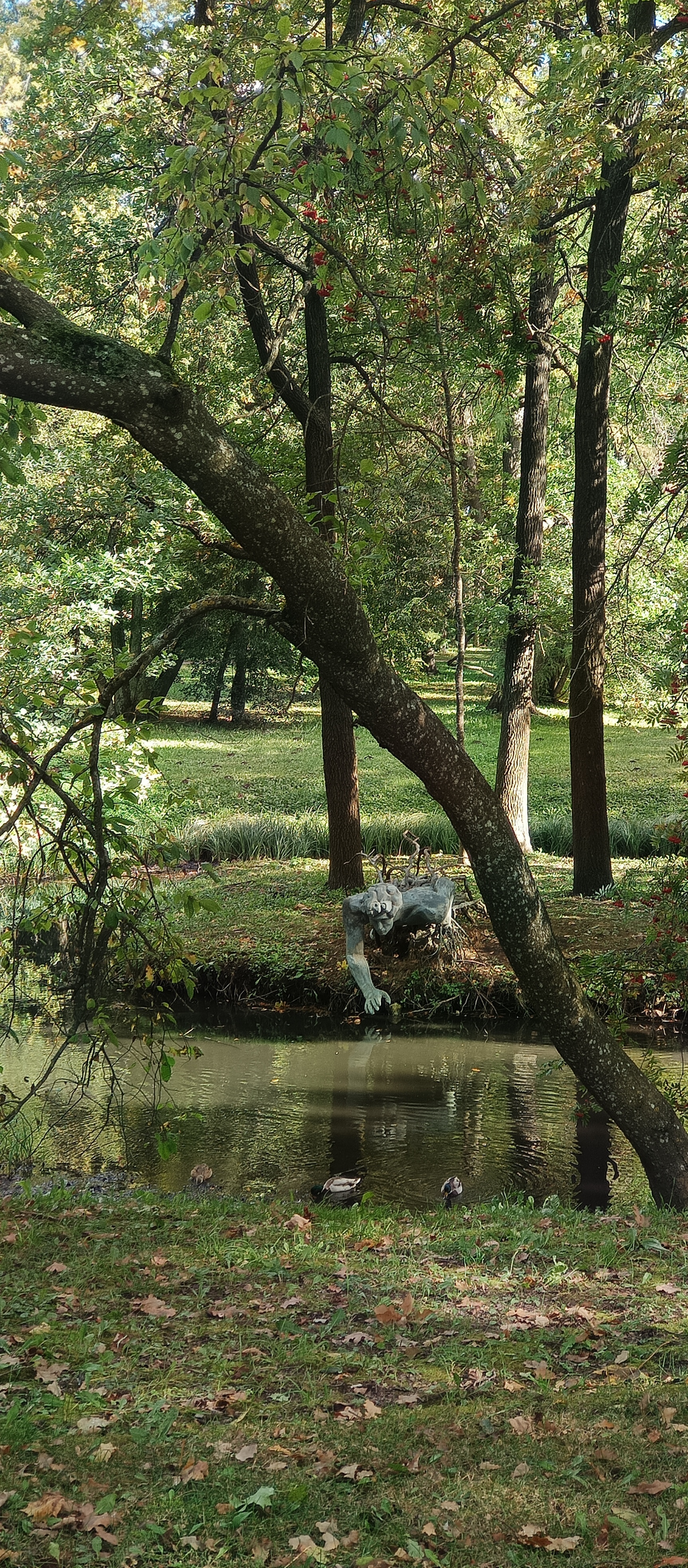 Gatchina city. Walk in the park - My, The park, Gatchina, In the last autumn, Longpost