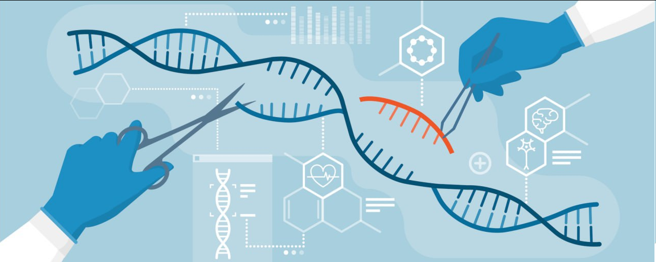 Scientific and technological progress - My, The science, Scientists, Research, Technologies, Innovations