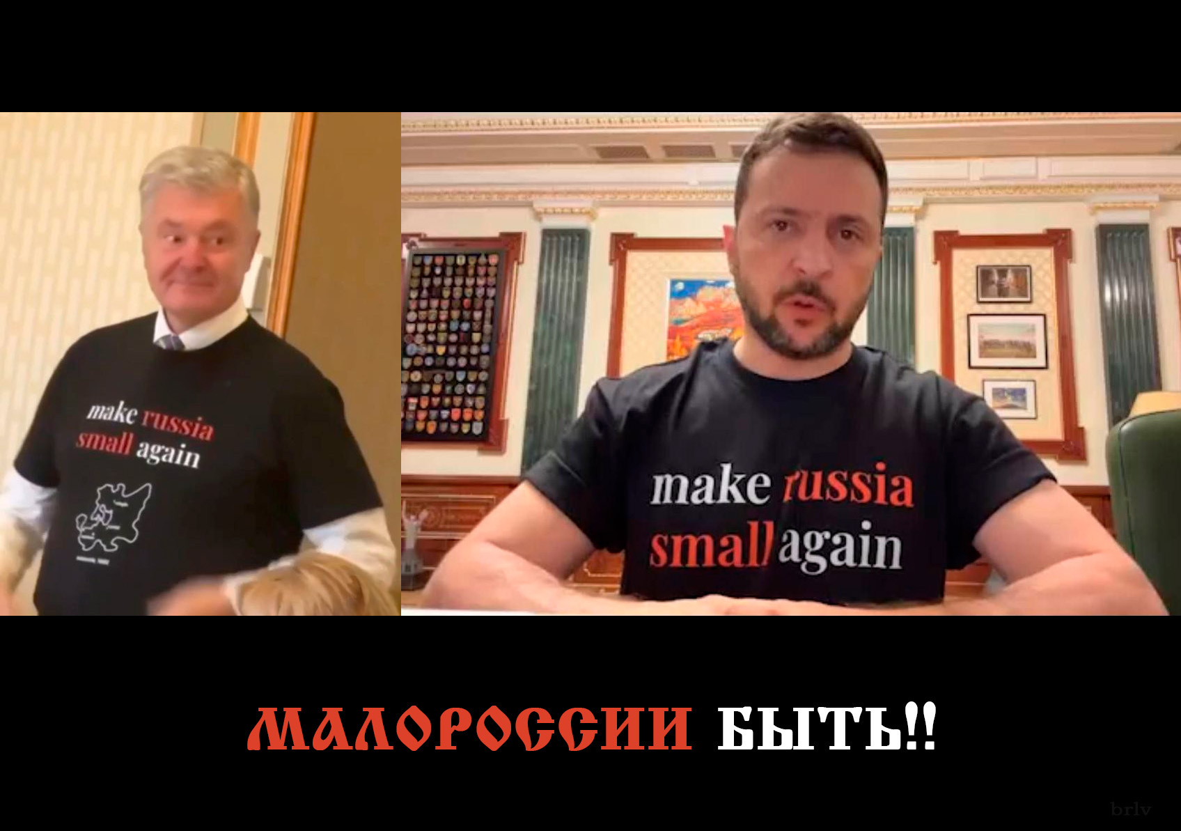 Они же это имели ввиду? - Юмор, Политика, Владимир Зеленский, Картинка с текстом