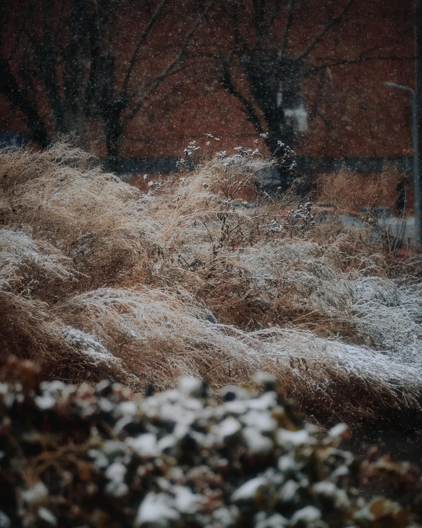 Kazan. First snow - My, Kazan, First snow, Snow, Tatarstan, Russia, Weather, Sony, The photo, Longpost