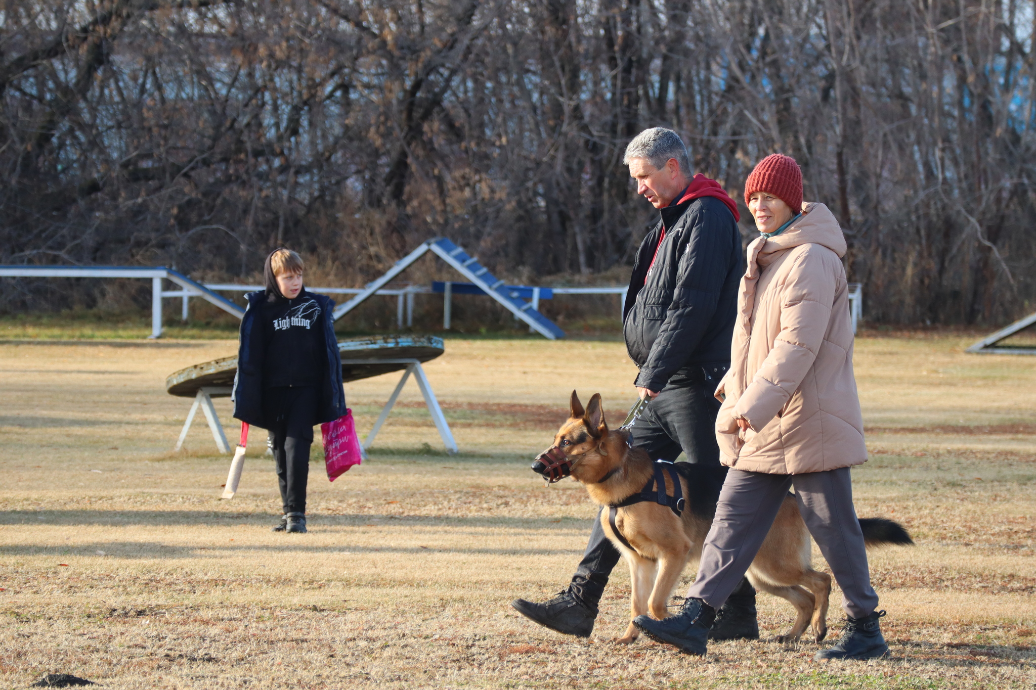 Дрессировка собак в Омске ОЦССС 03.11.2024 - Собака, Щенки, Омск, Дрессировка, Оцссс, Друг, Забота, Доброта, Собаководство, Друзья, Длиннопост