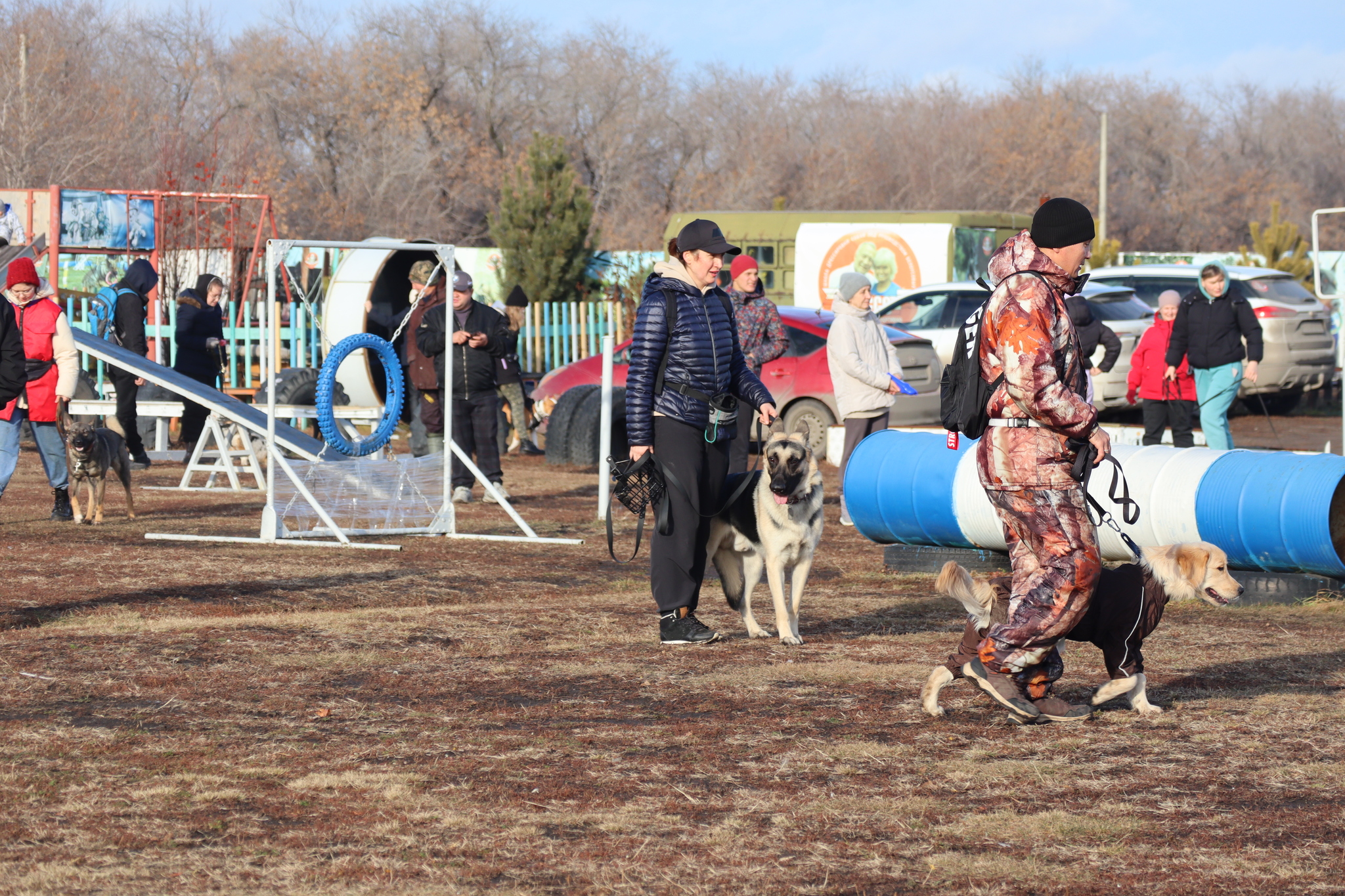 Дрессировка собак в Омске ОЦССС 03.11.2024 - Собака, Щенки, Омск, Дрессировка, Оцссс, Друг, Забота, Доброта, Собаководство, Друзья, Длиннопост