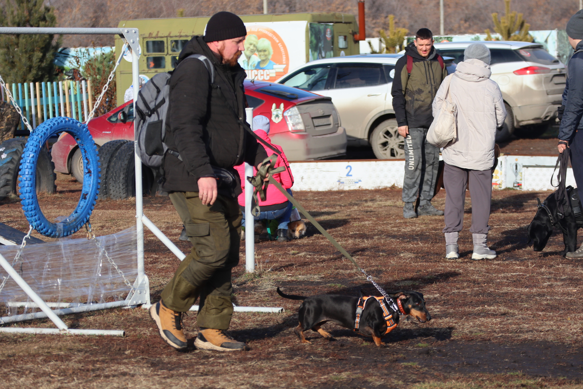 Дрессировка собак в Омске ОЦССС 03.11.2024 - Собака, Щенки, Омск, Дрессировка, Оцссс, Друг, Забота, Доброта, Собаководство, Друзья, Длиннопост