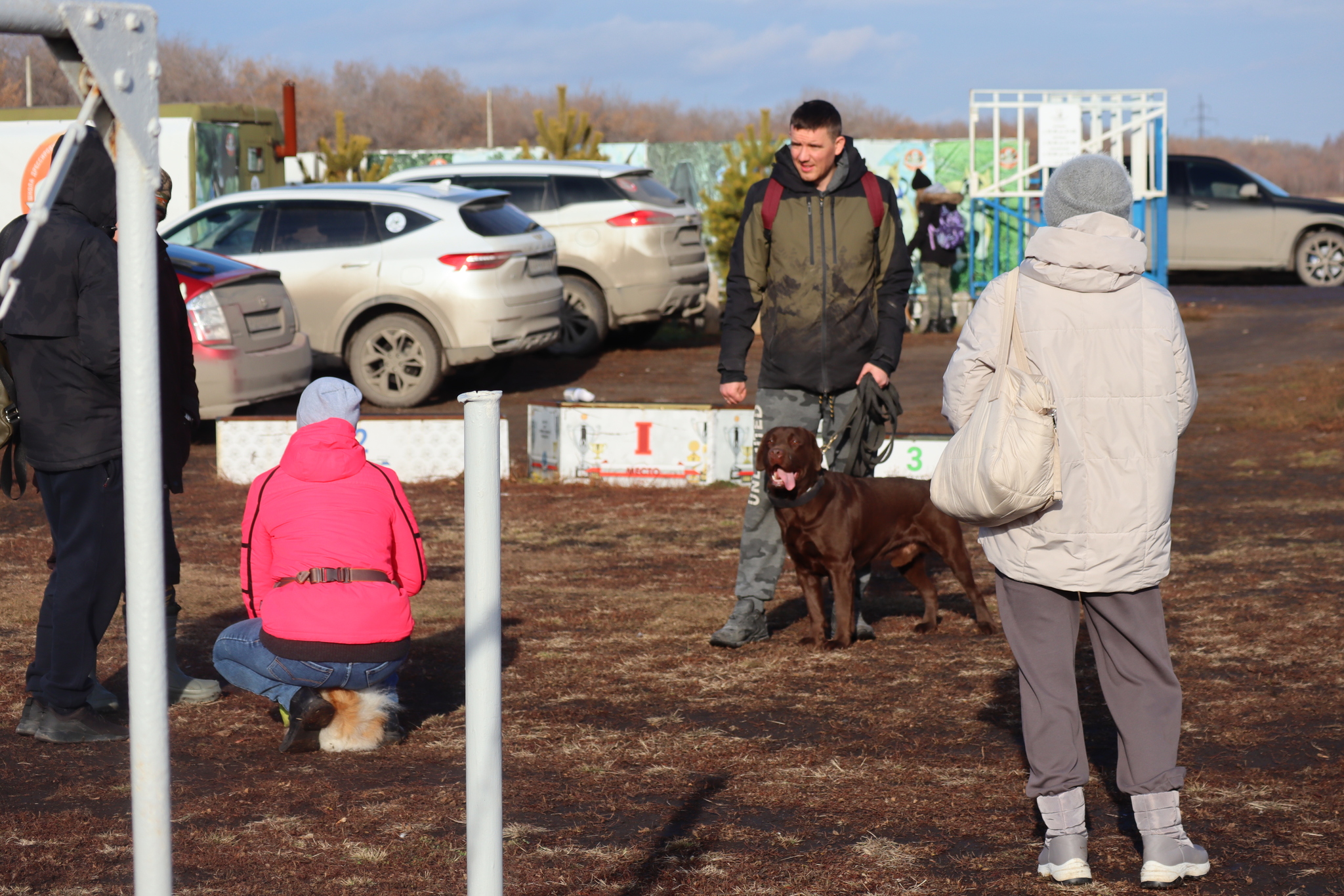 Дрессировка собак в Омске ОЦССС 03.11.2024 - Собака, Щенки, Омск, Дрессировка, Оцссс, Друг, Забота, Доброта, Собаководство, Друзья, Длиннопост